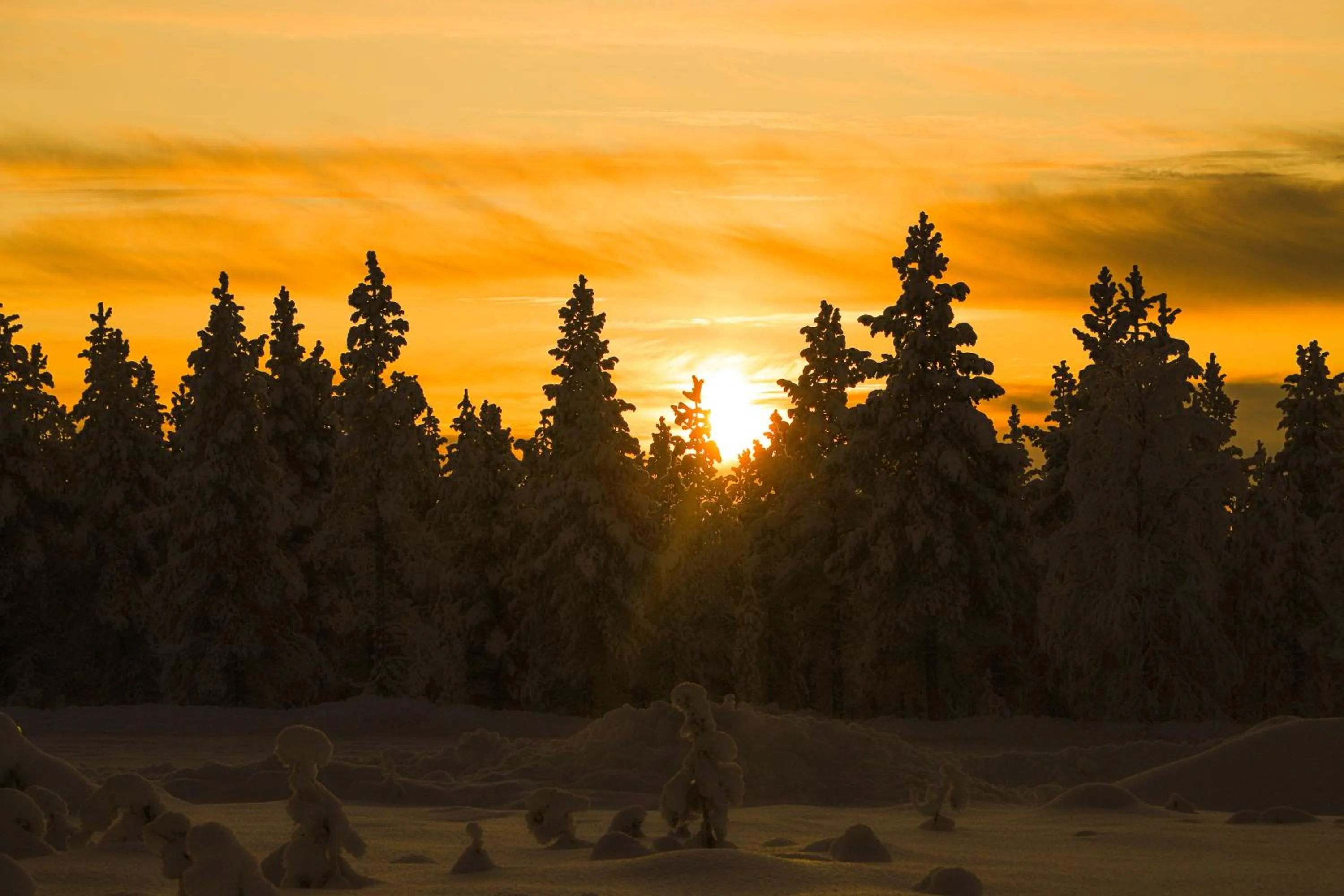 Natural landscape in Kakslauttanen Arctic Resort - Igloos and Chalets