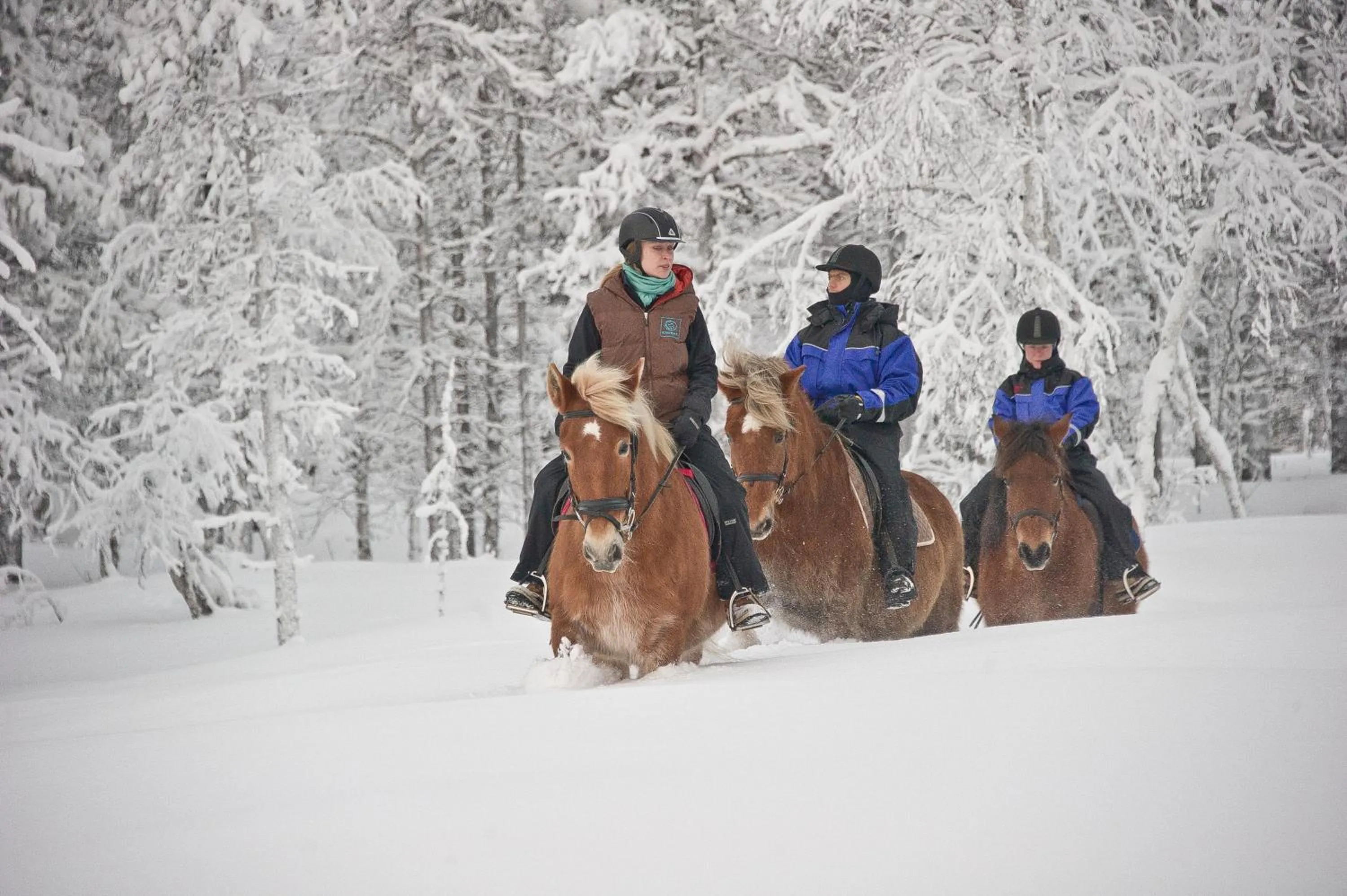 Activities in Kakslauttanen Arctic Resort - Igloos and Chalets