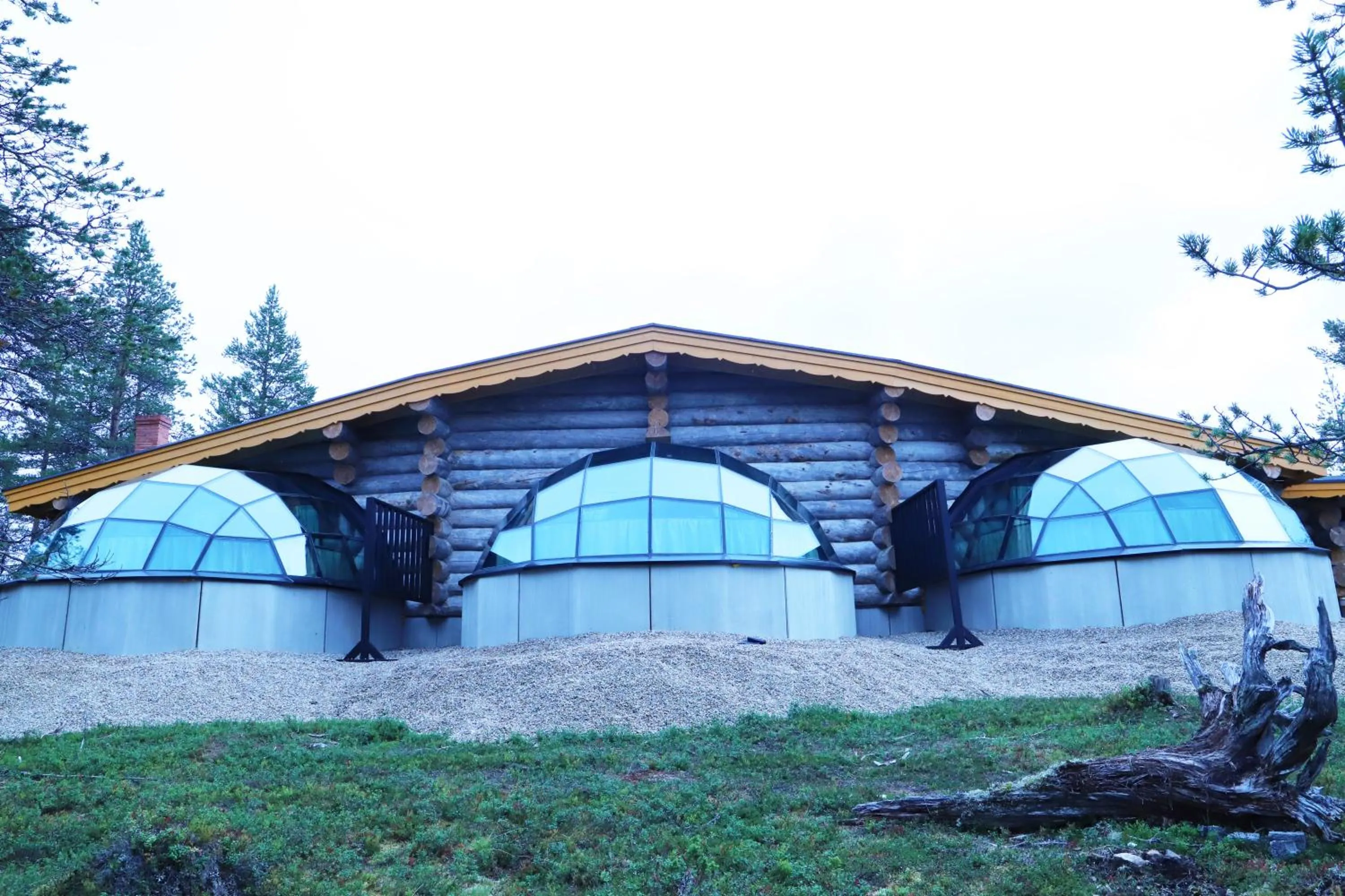 Luxury Kelo-Glass Igloo in Kakslauttanen Arctic Resort - Igloos and Chalets