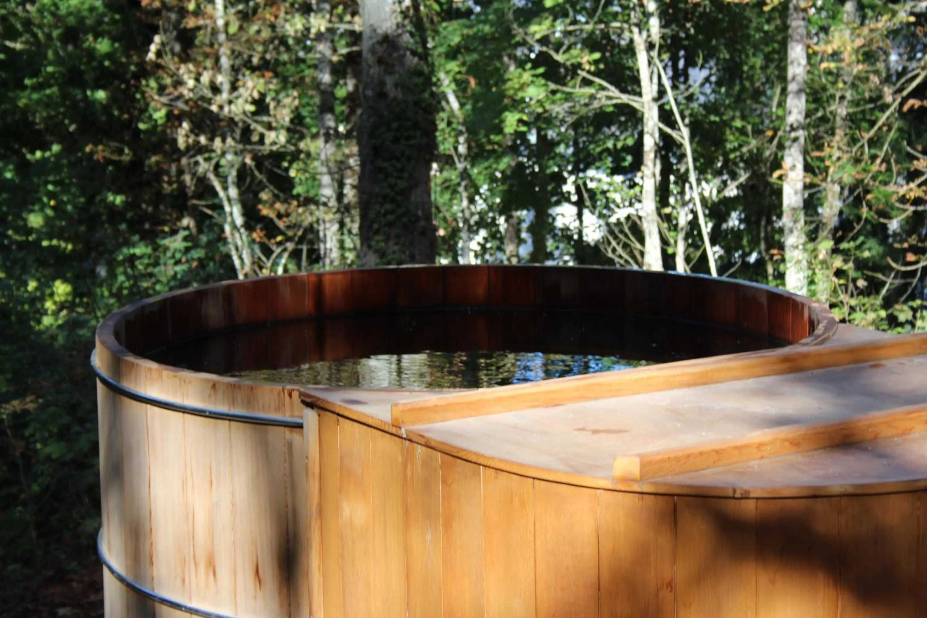 Hôtel & Spa du Domaine des Thômeaux, The Originals Relais