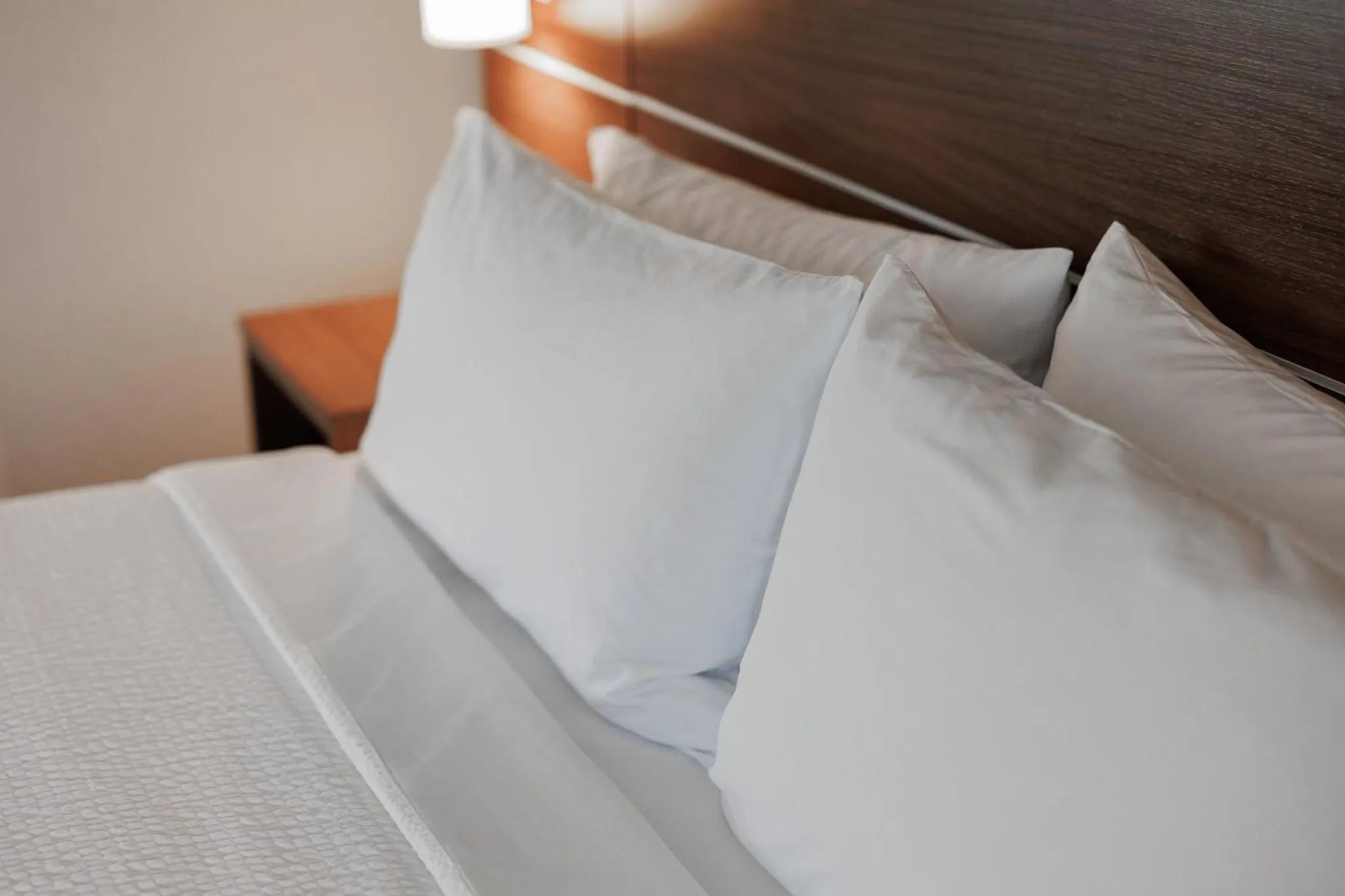 Photo of the whole room, Bed in Holiday Inn Express & Suites Mountain View Silicon Valley by IHG