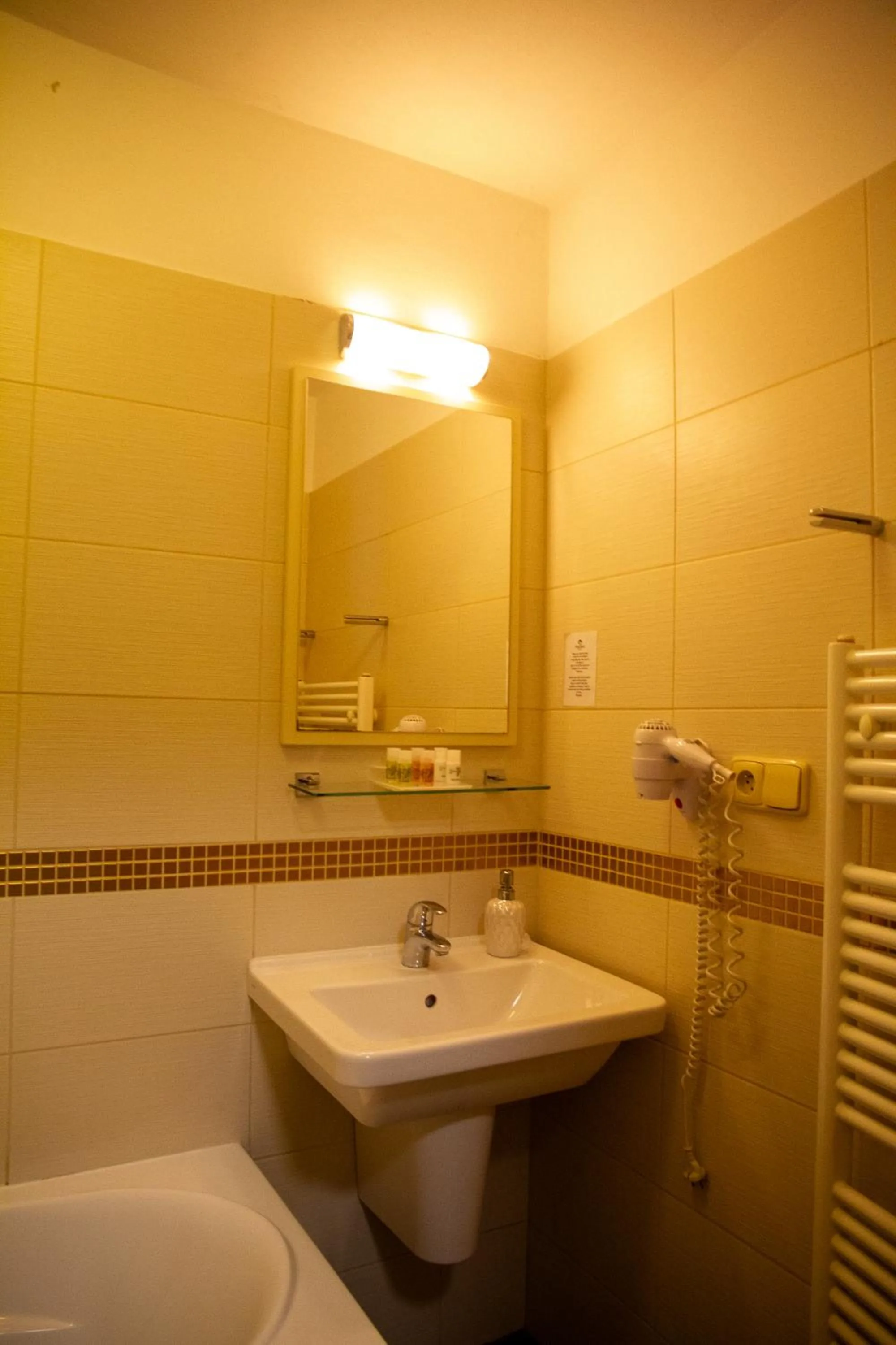 Bathroom in Hotel Peregrin