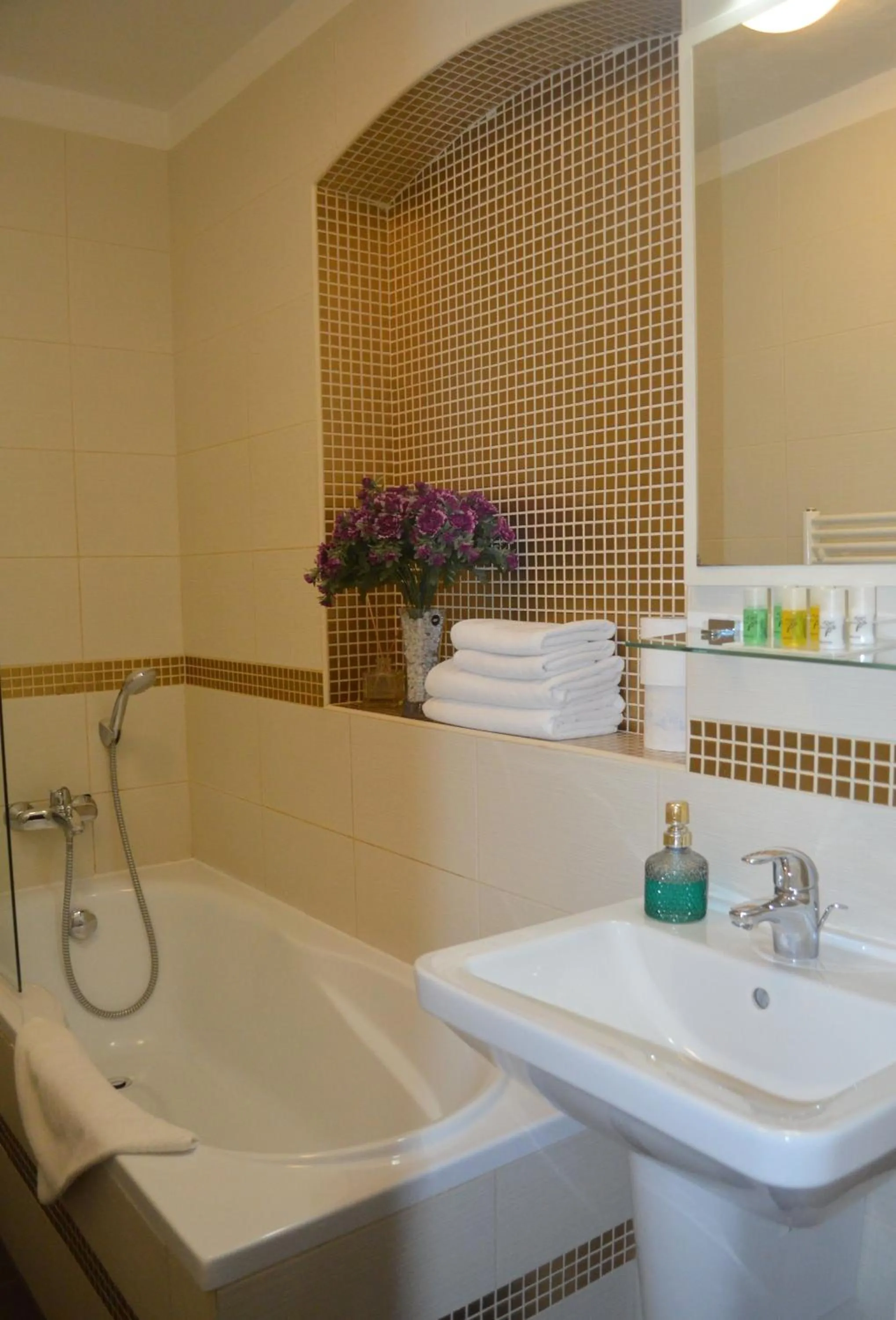 Bathroom in Hotel Peregrin