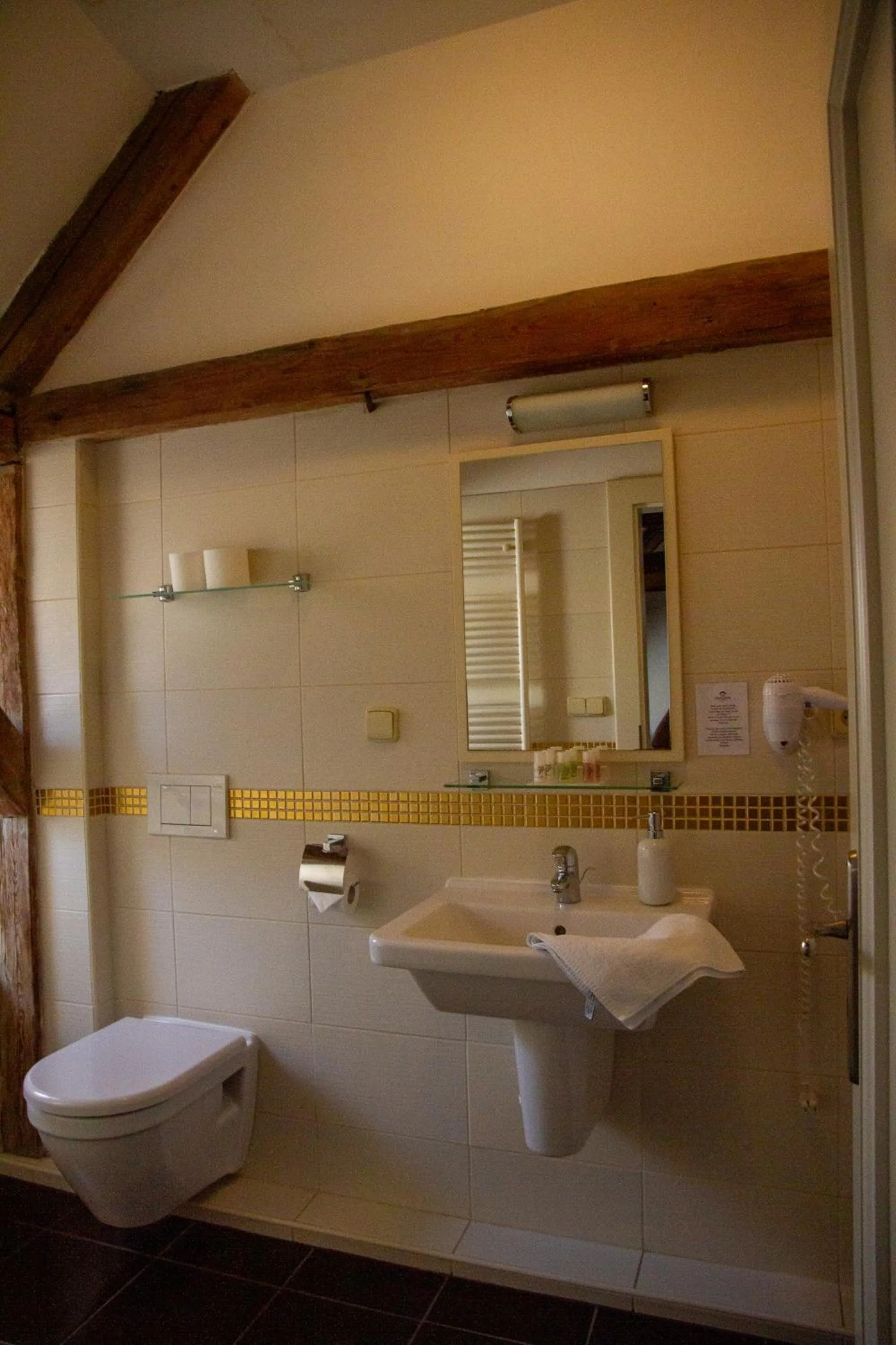 Bathroom in Hotel Peregrin