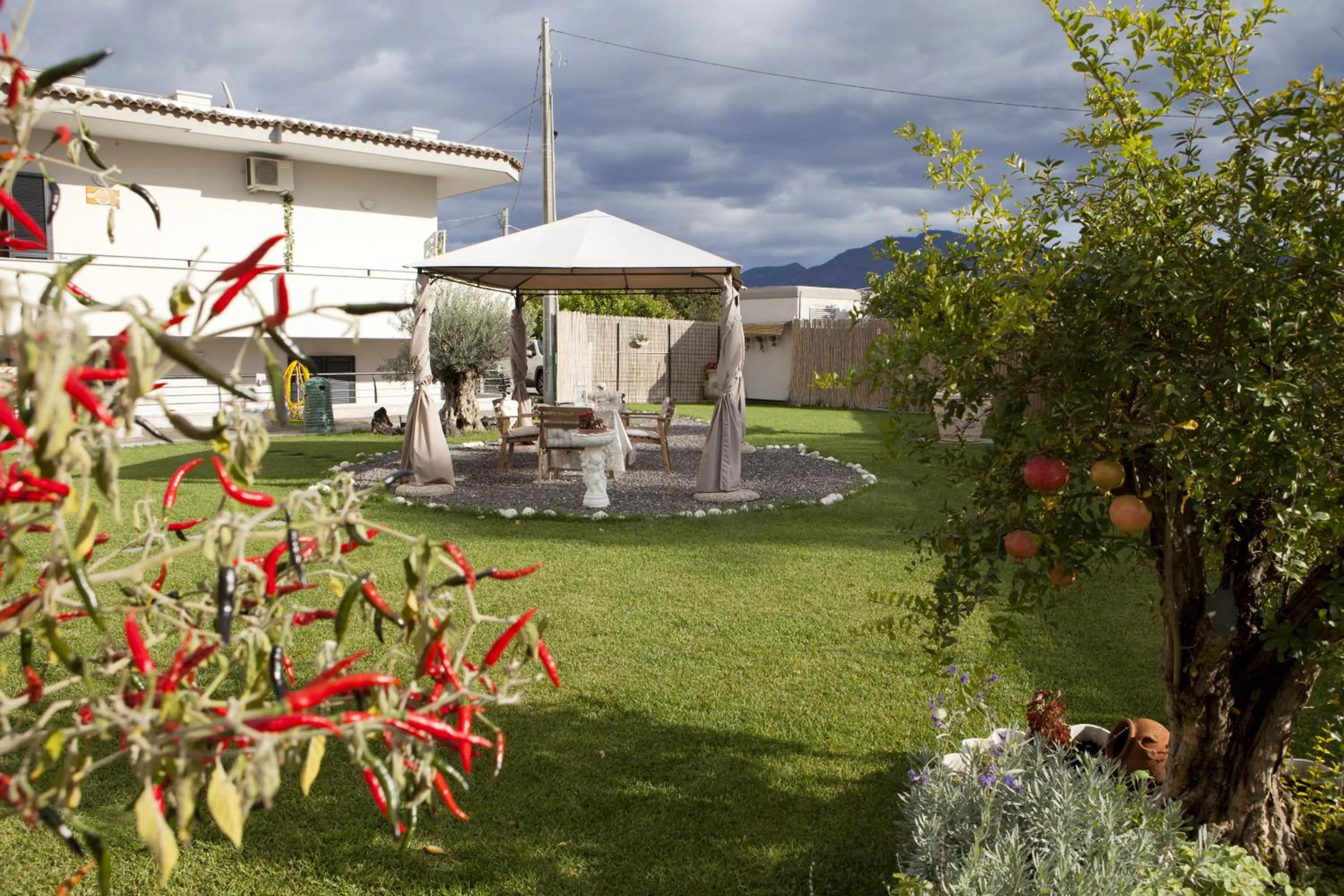 Garden in Pompei Gryllus