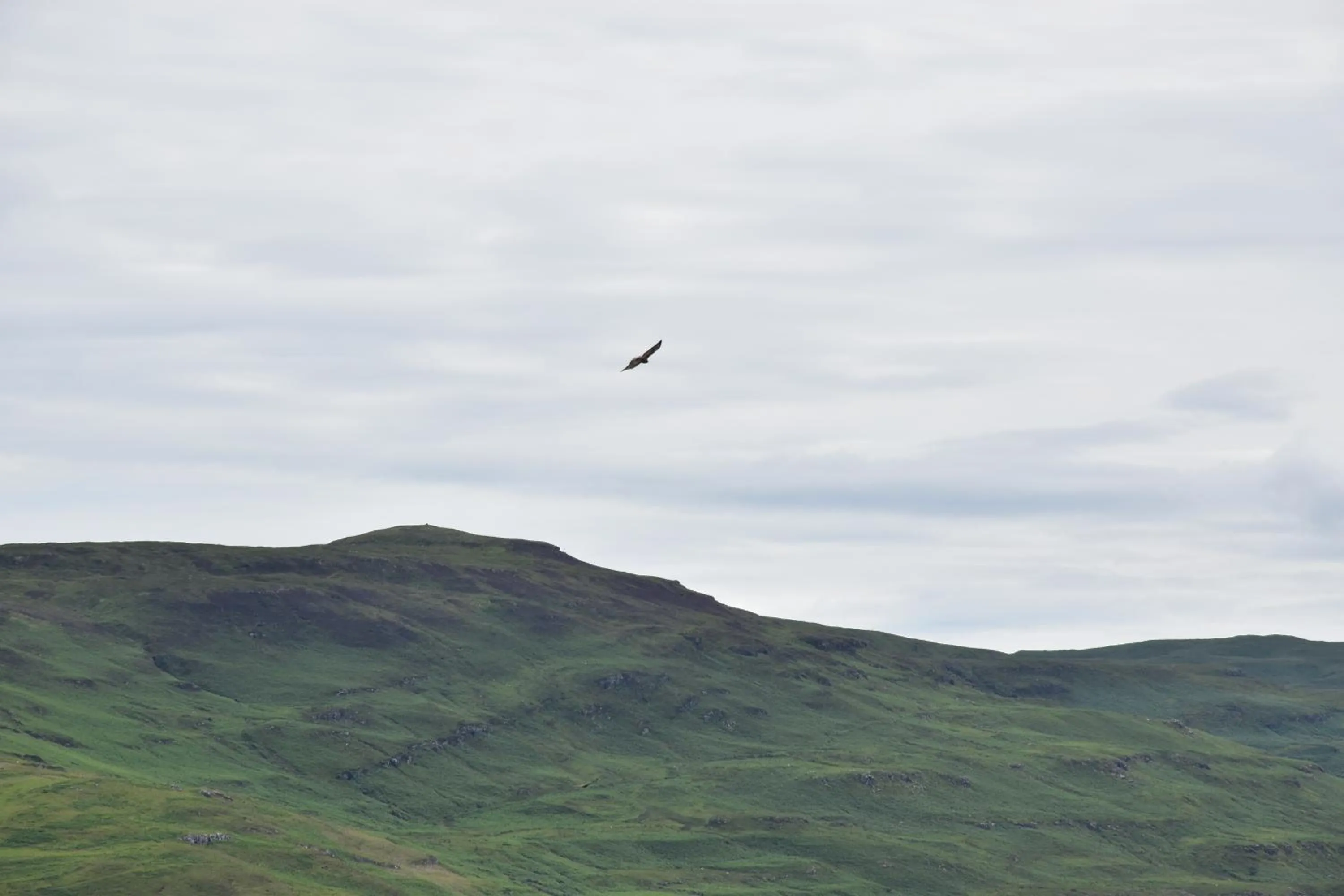 Natural landscape in Killoran House