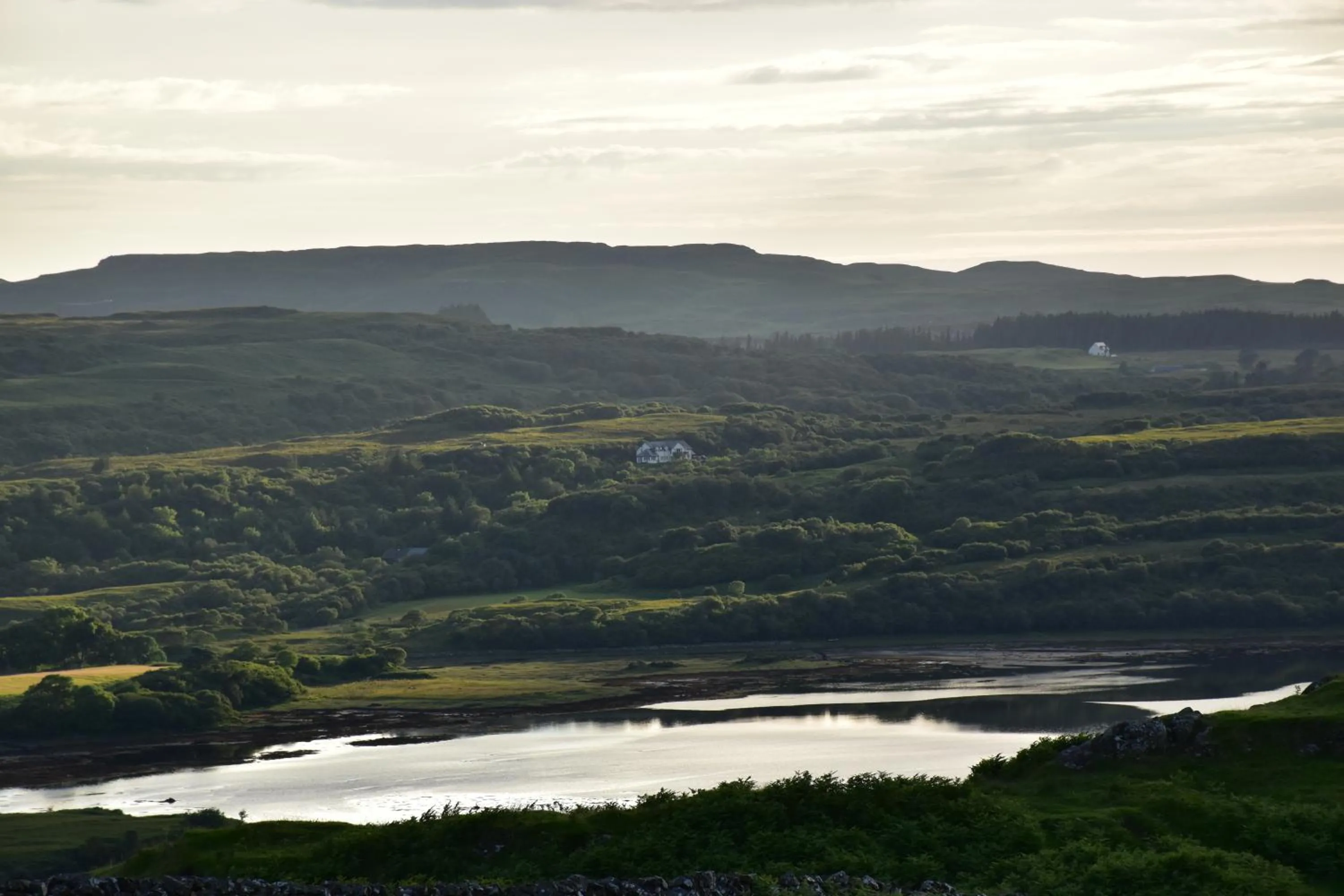Natural landscape in Killoran House