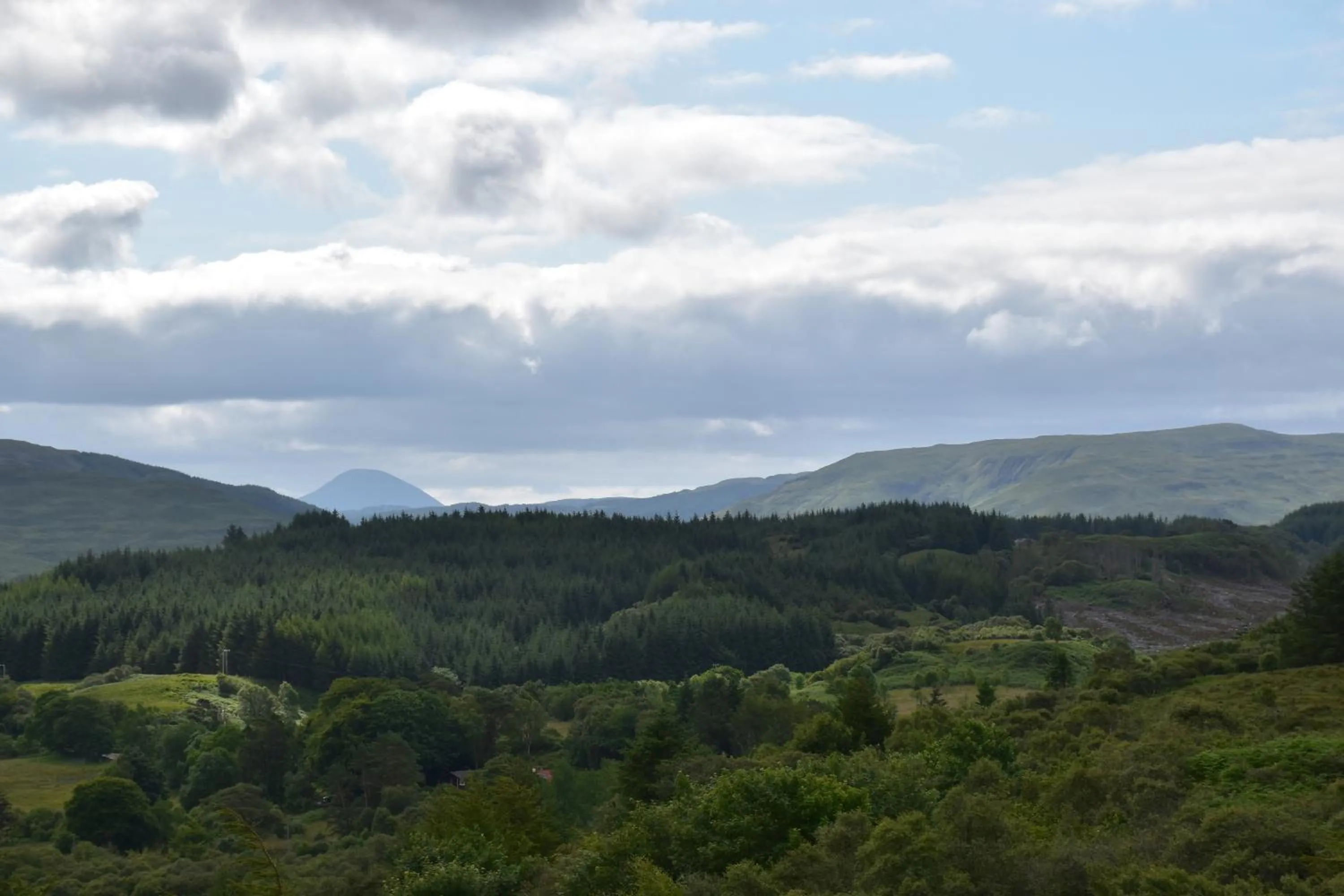 Natural landscape in Killoran House