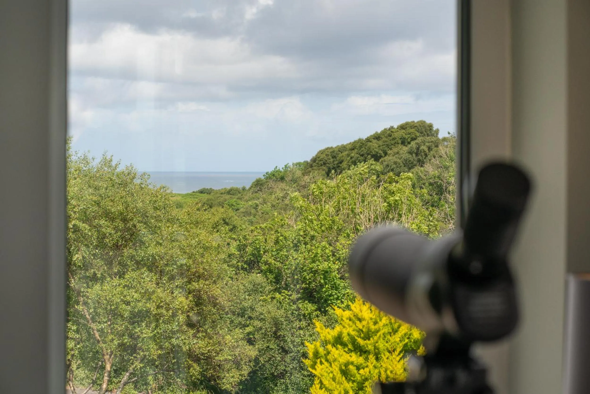 View (from property/room) in Killoran House