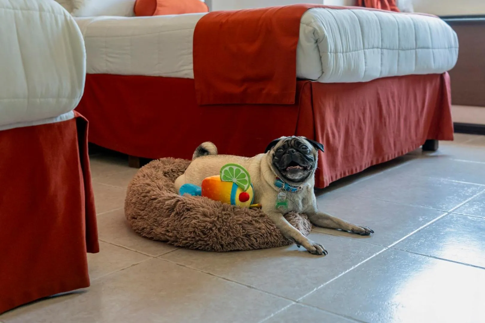 Other in Hotel Ocean View