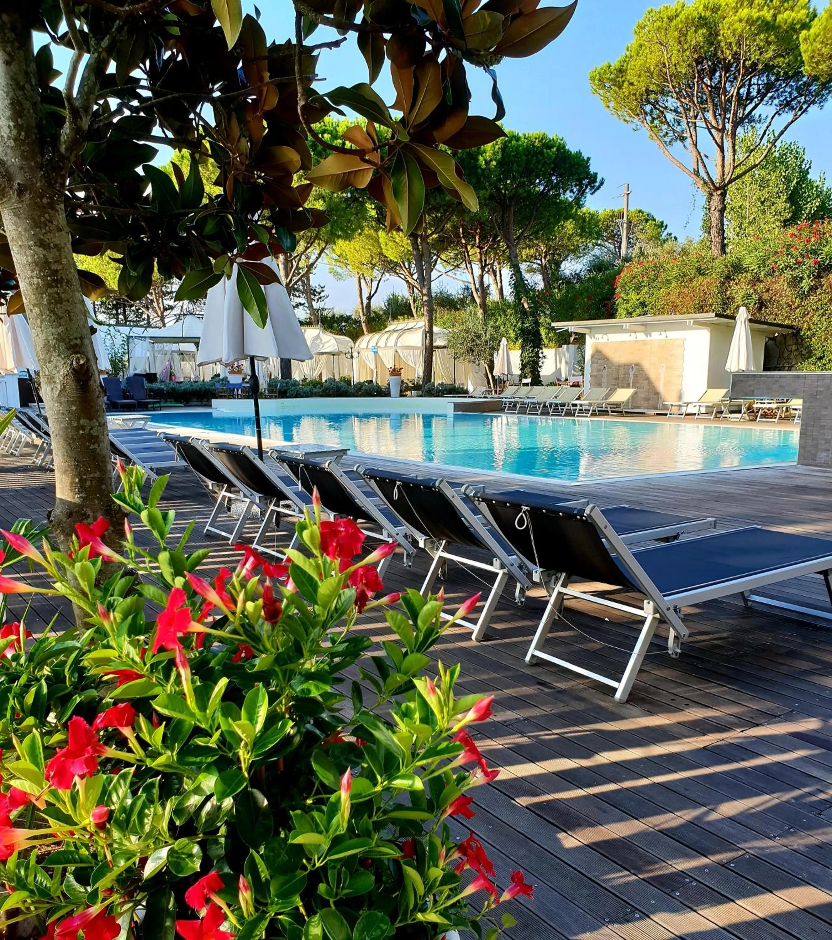 Pool view in Villaggio La Pescaccia