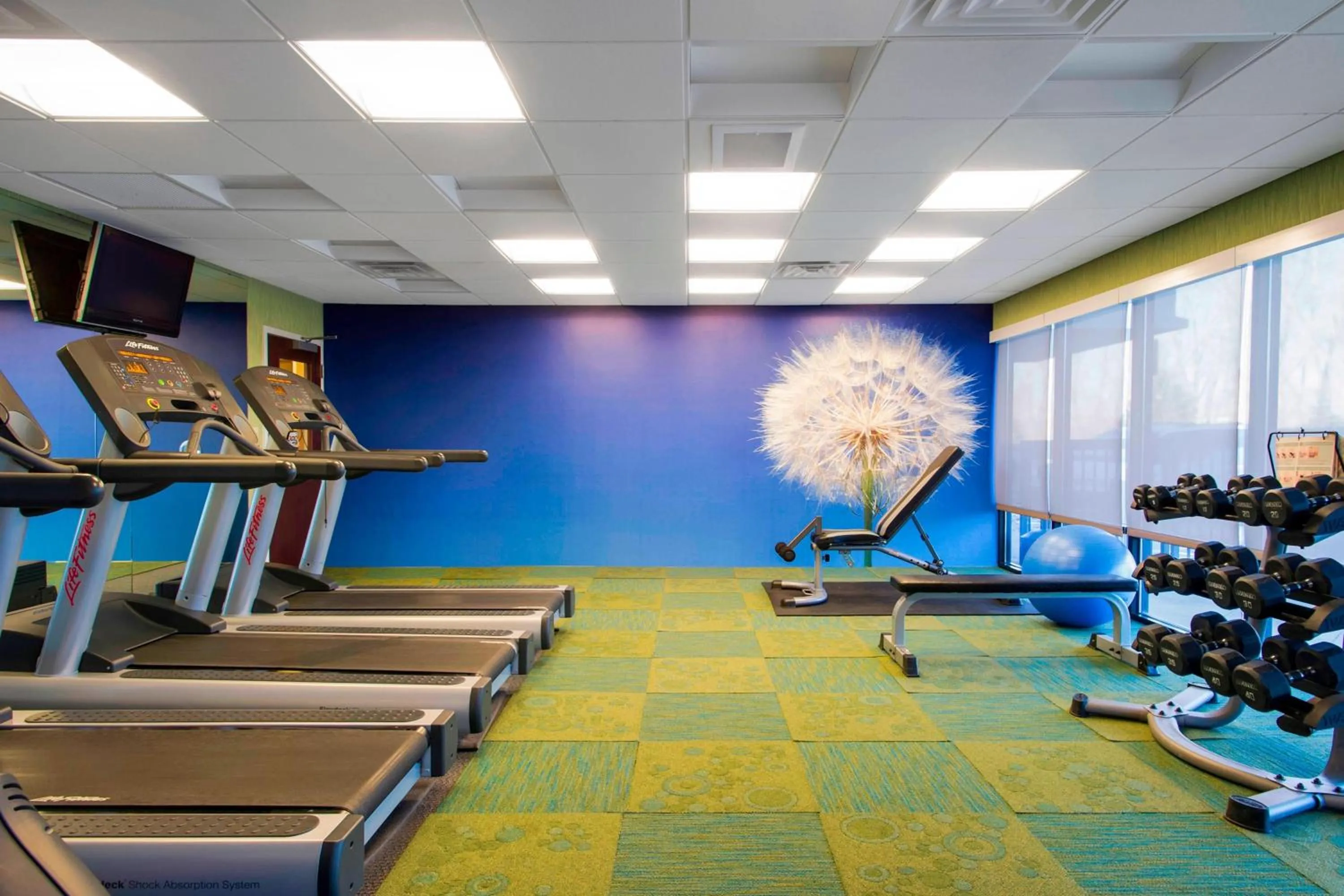 Fitness centre/facilities in SpringHill Suites by Marriott Omaha East, Council Bluffs, IA