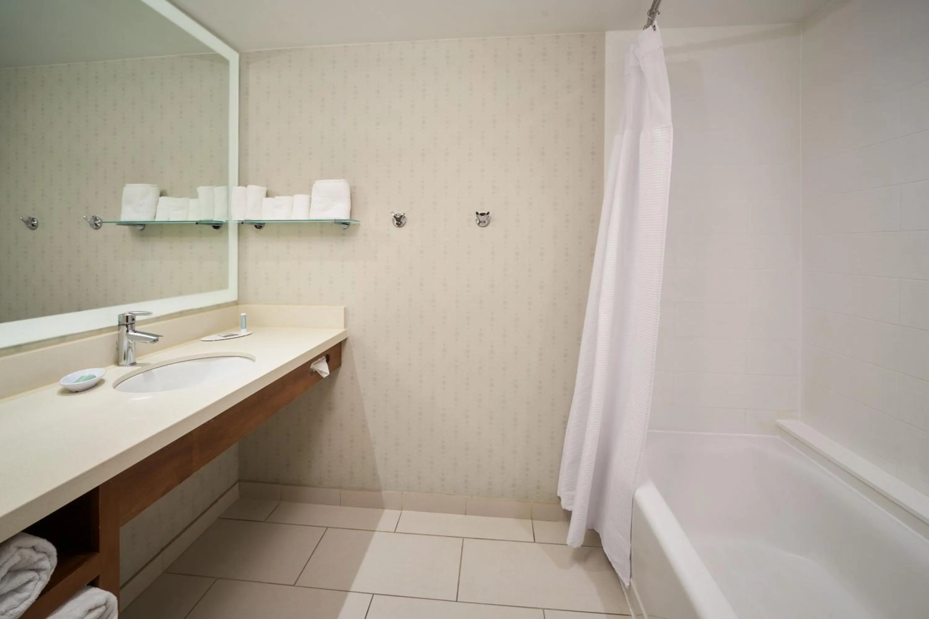 Bathroom in SpringHill Suites by Marriott Philadelphia Airport / Ridley Park