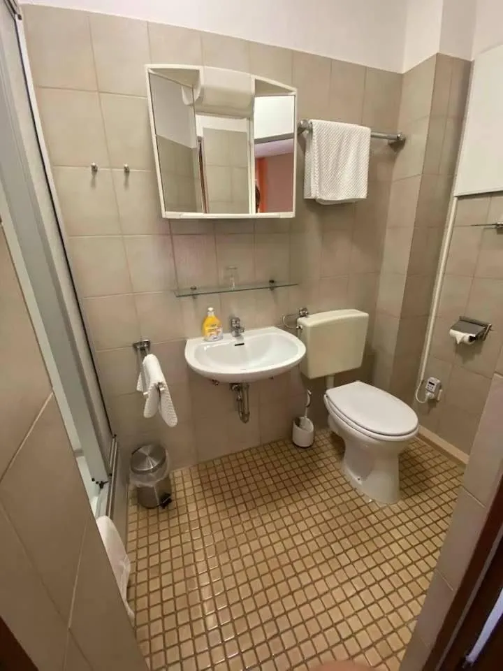 Bathroom in Hotel-Gasthof "Alter Ritter"