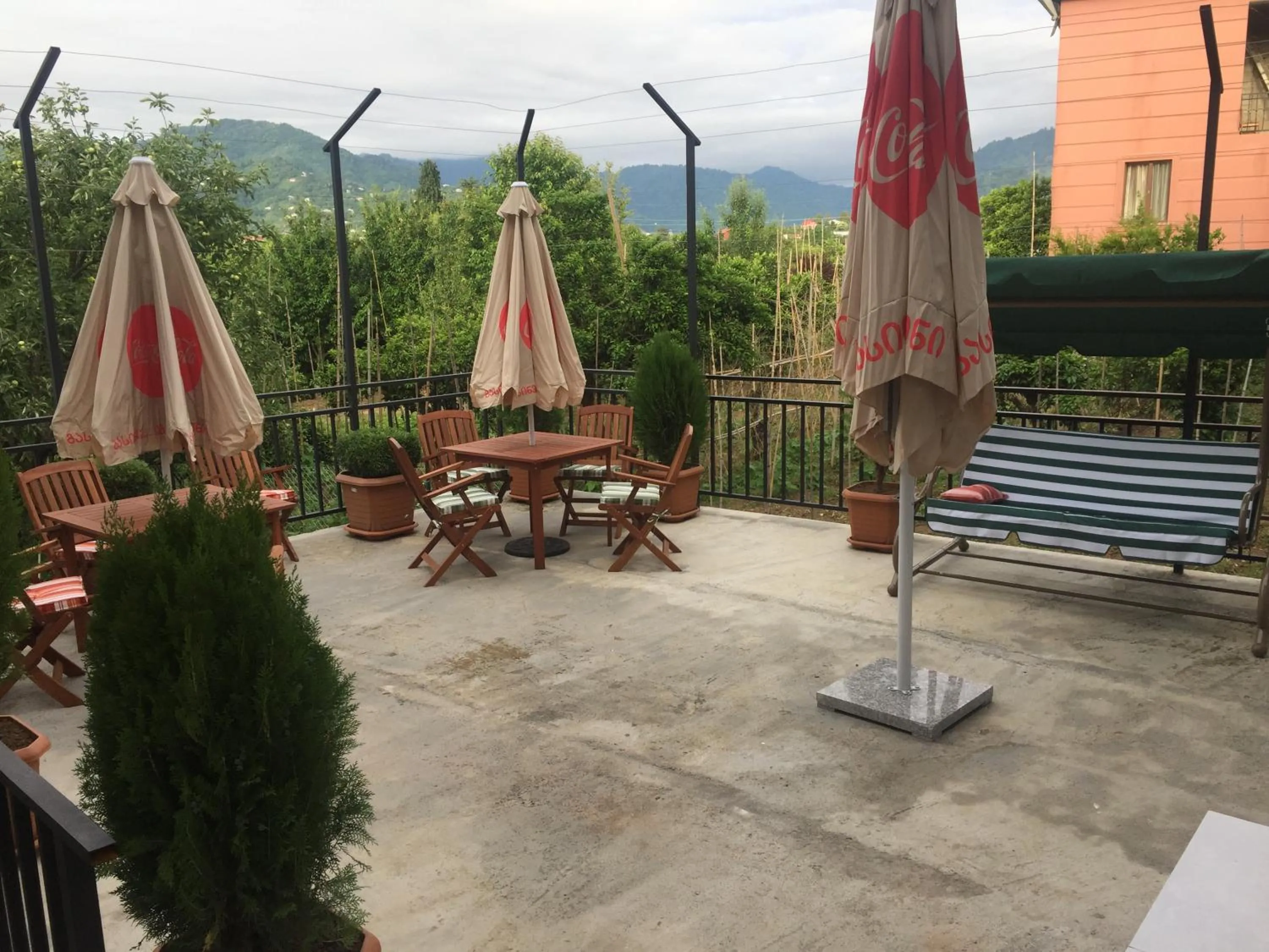 Balcony/Terrace in Hotel Botanica