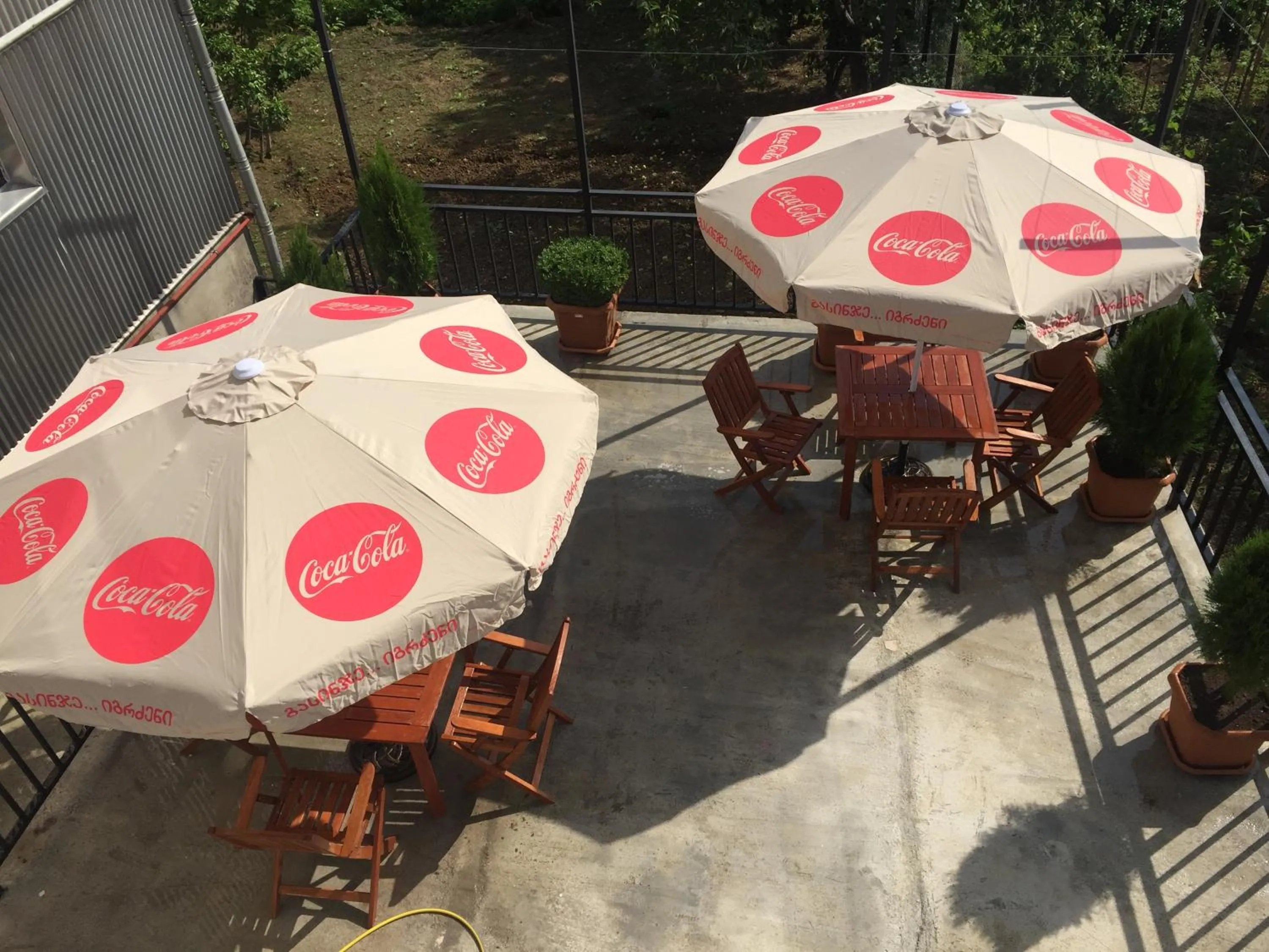 Balcony/Terrace in Hotel Botanica