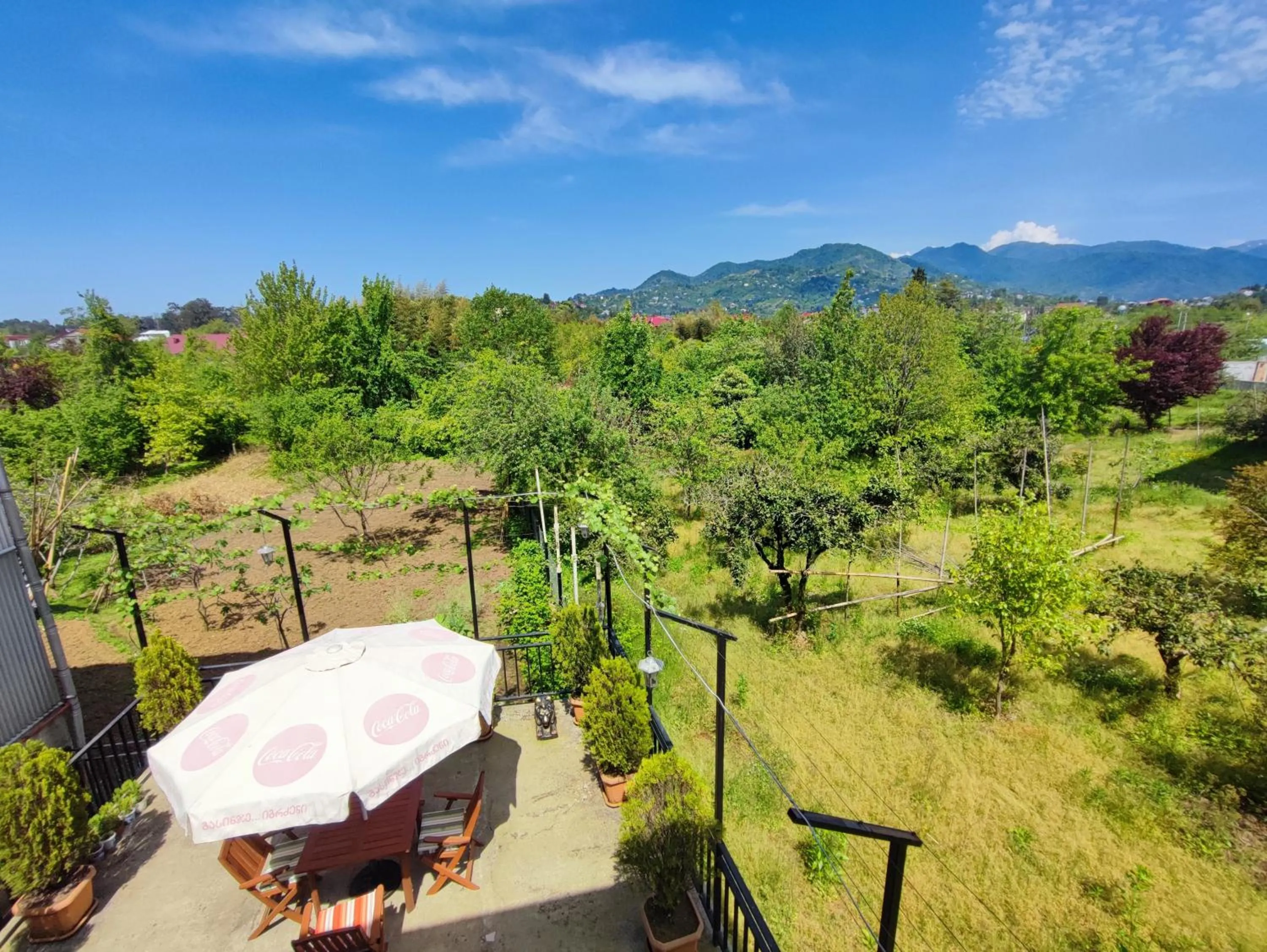 Hotel Botanica