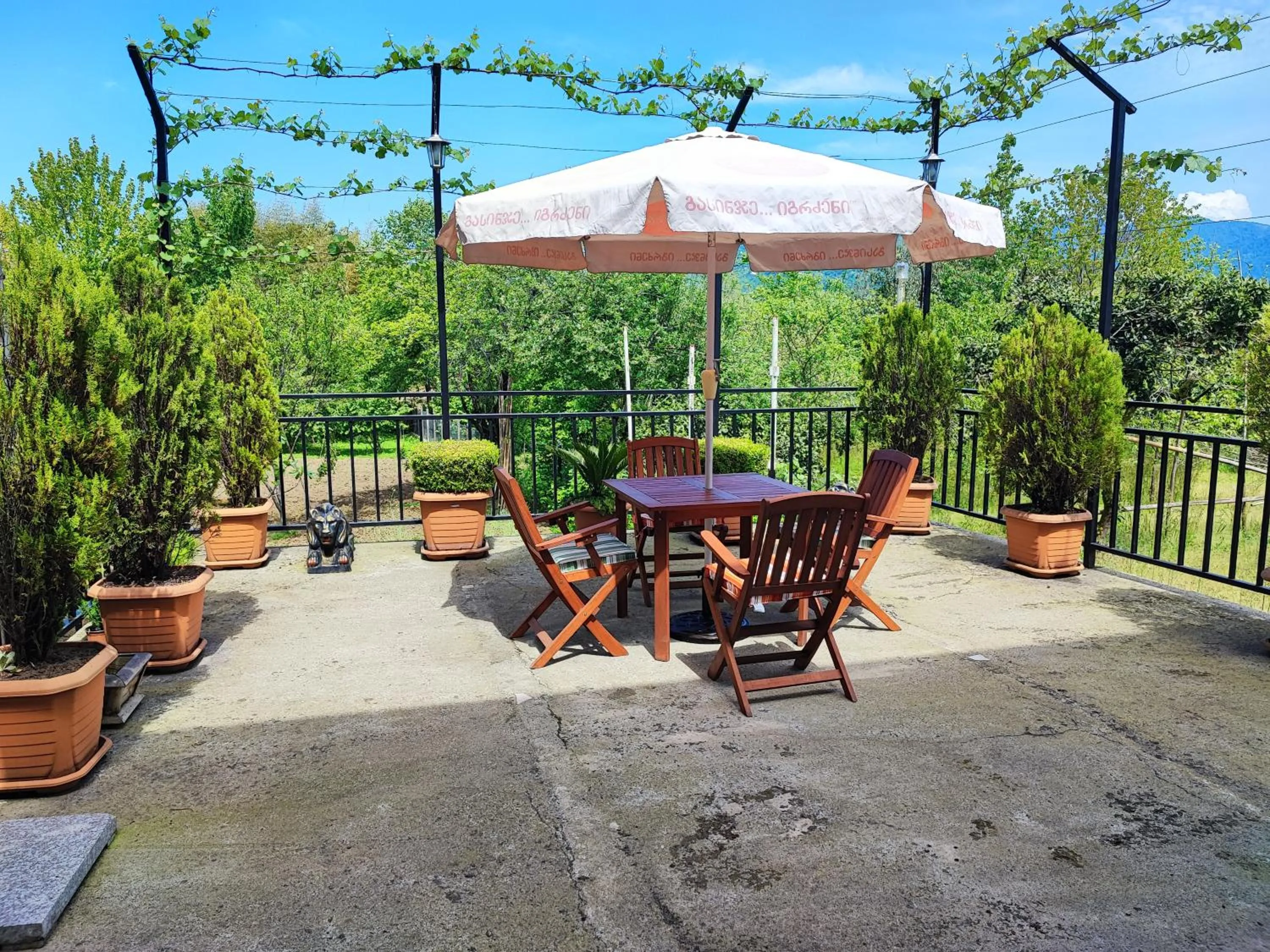 Hotel Botanica