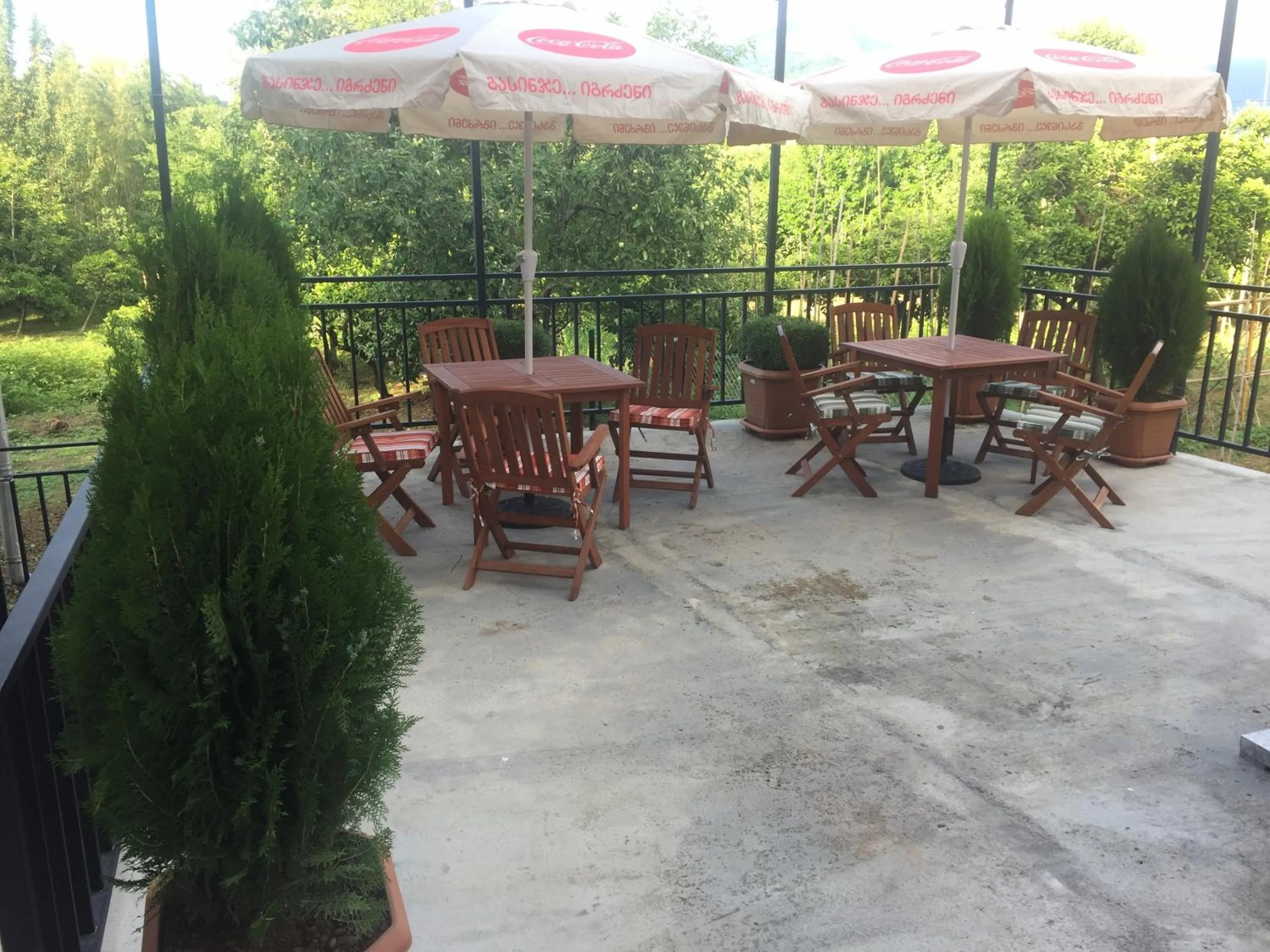 Balcony/Terrace in Hotel Botanica