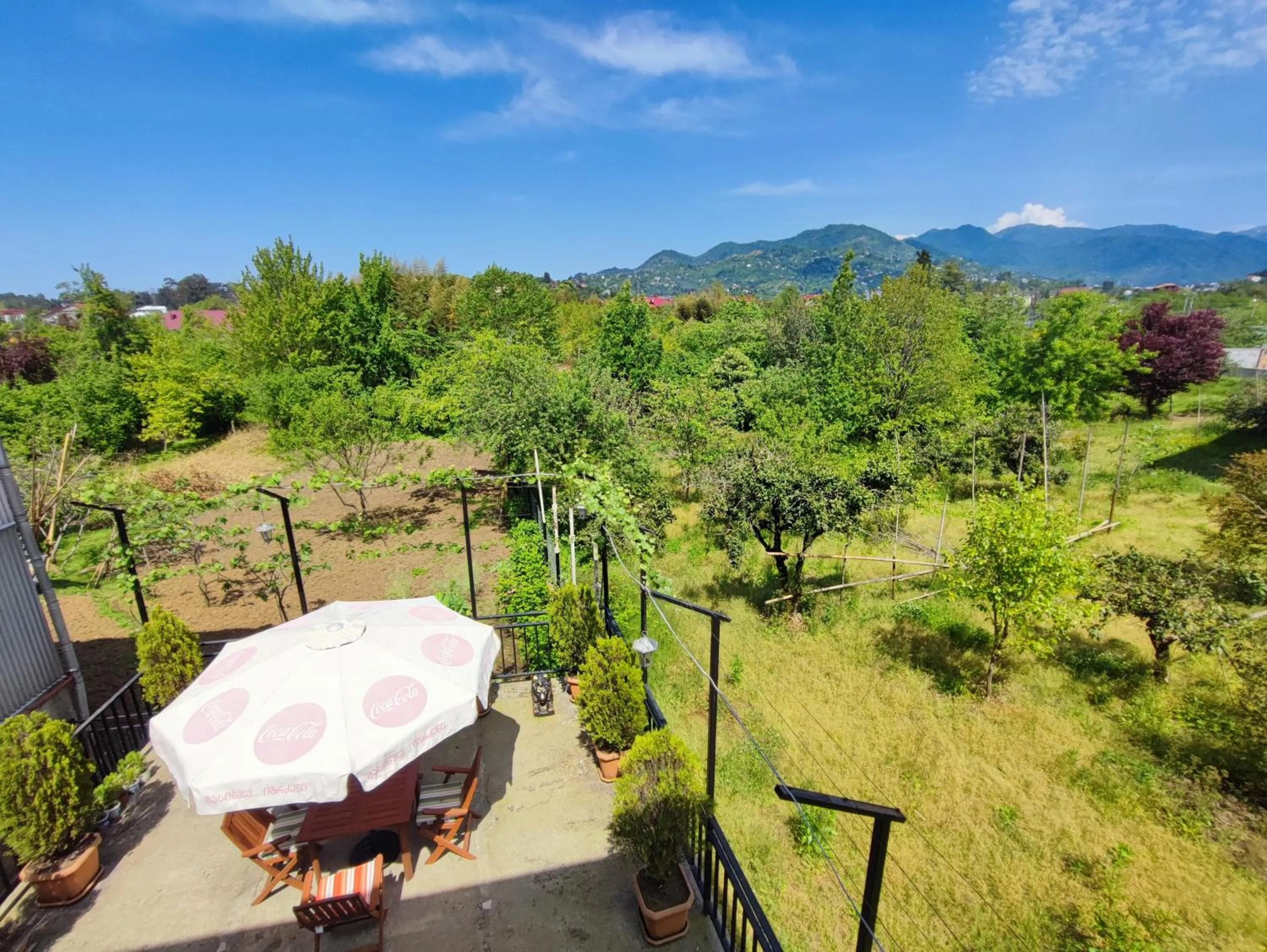 Hotel Botanica