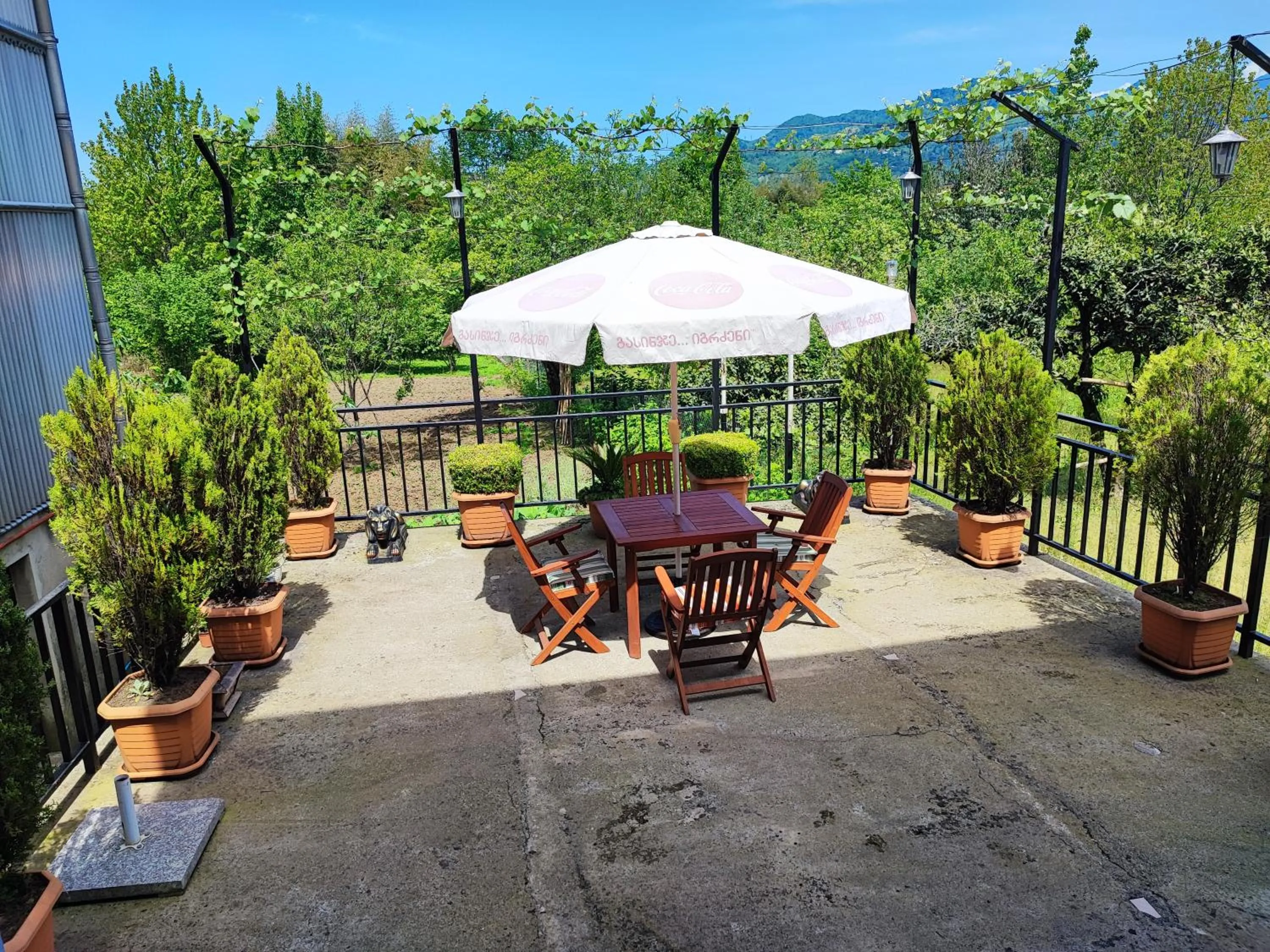 Hotel Botanica