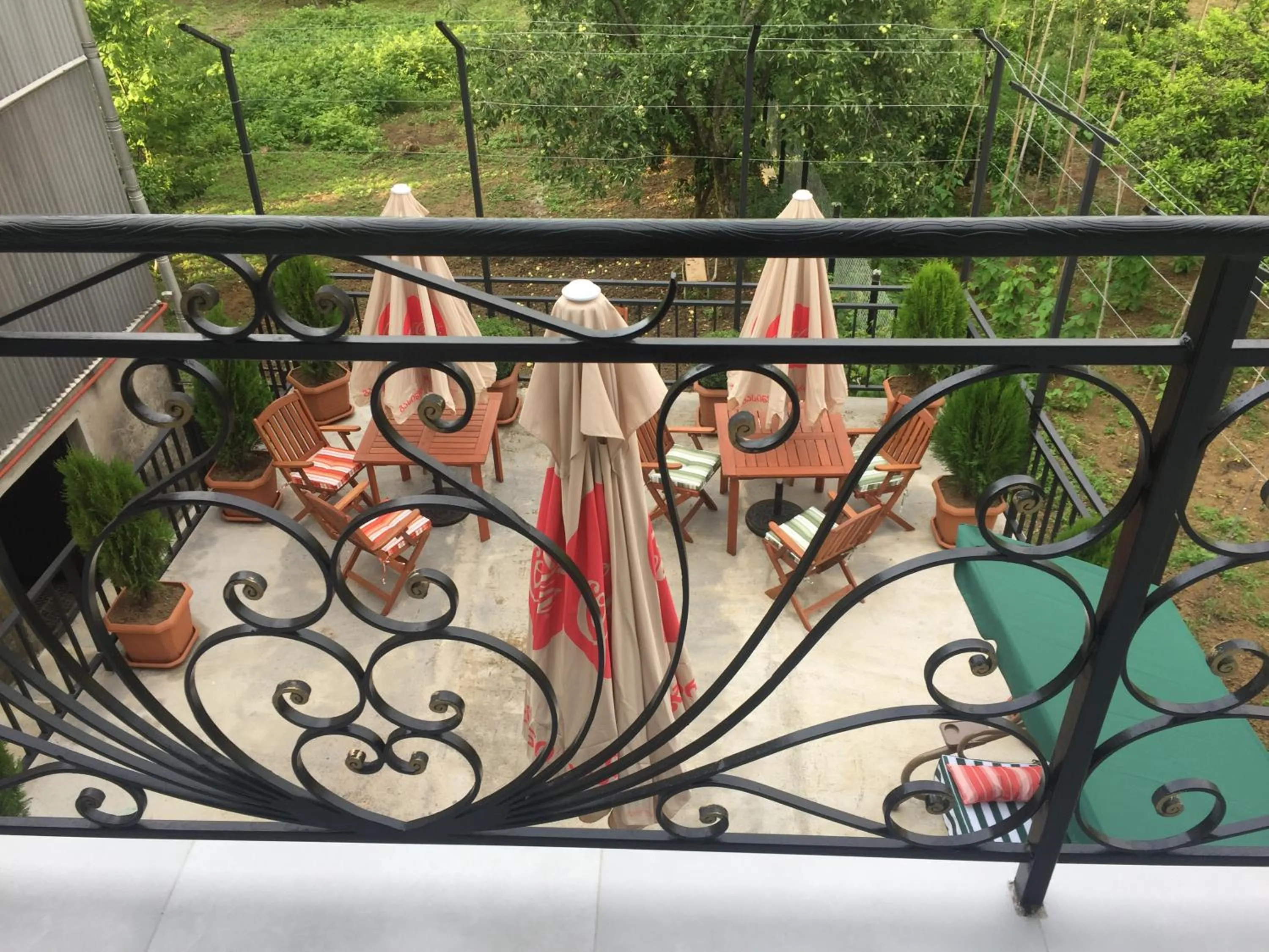Garden view in Hotel Botanica