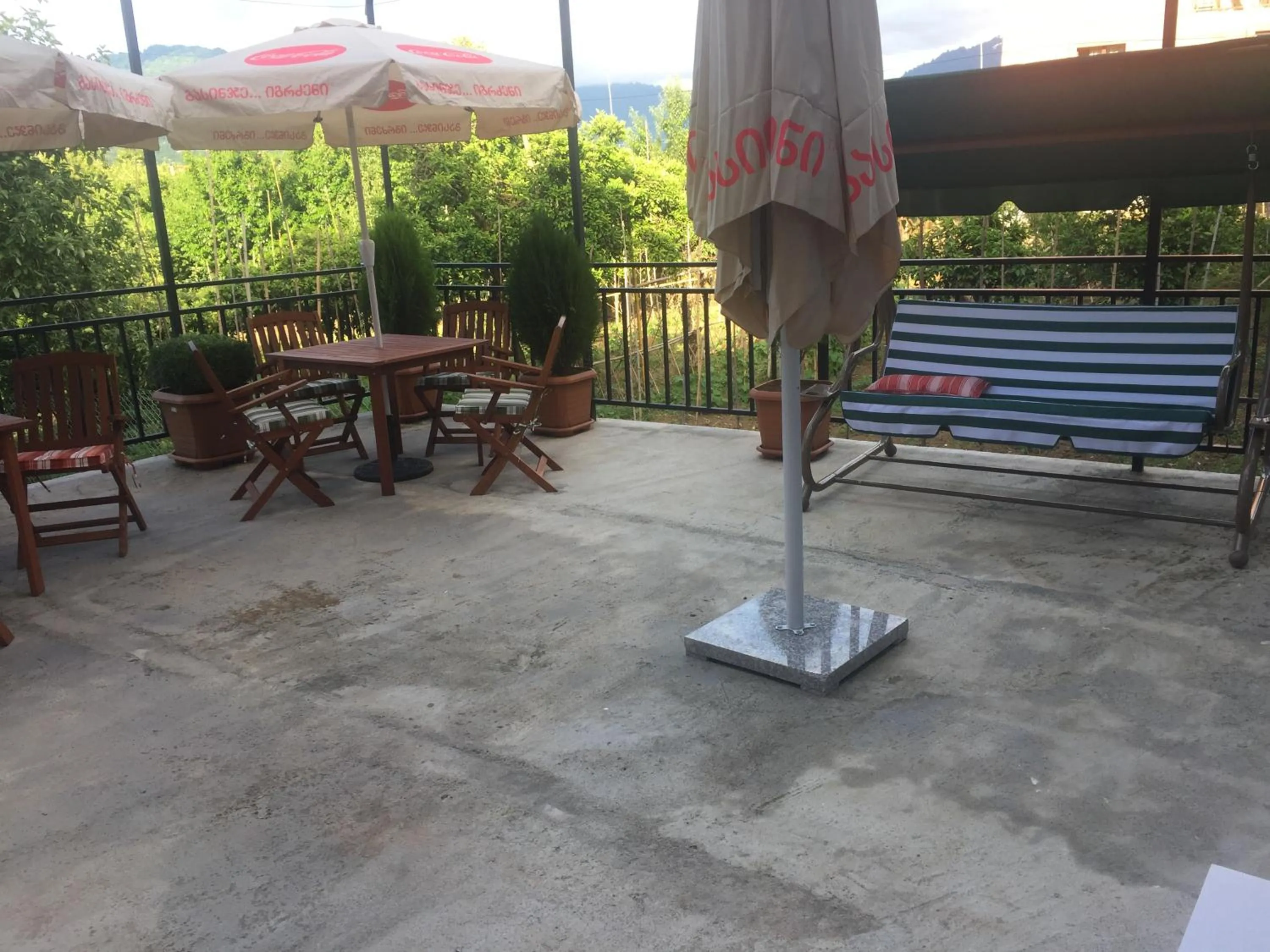 Balcony/Terrace in Hotel Botanica
