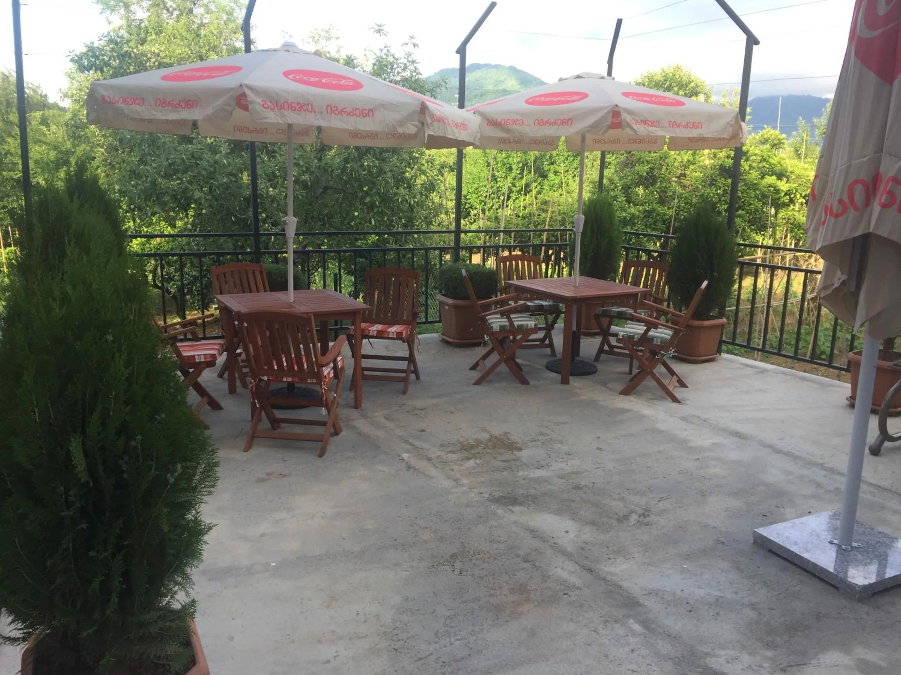 Balcony/Terrace in Hotel Botanica