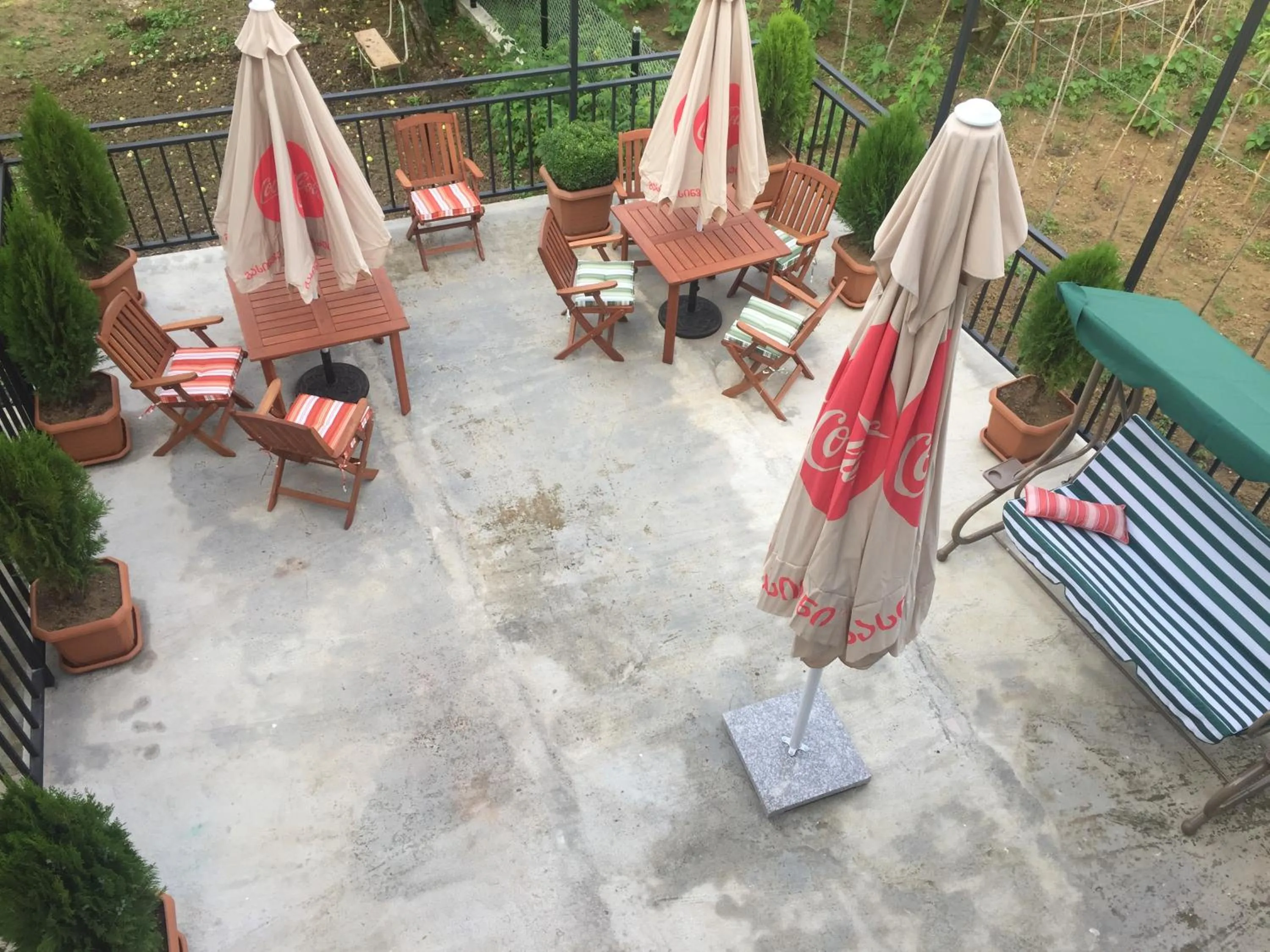 Balcony/Terrace in Hotel Botanica