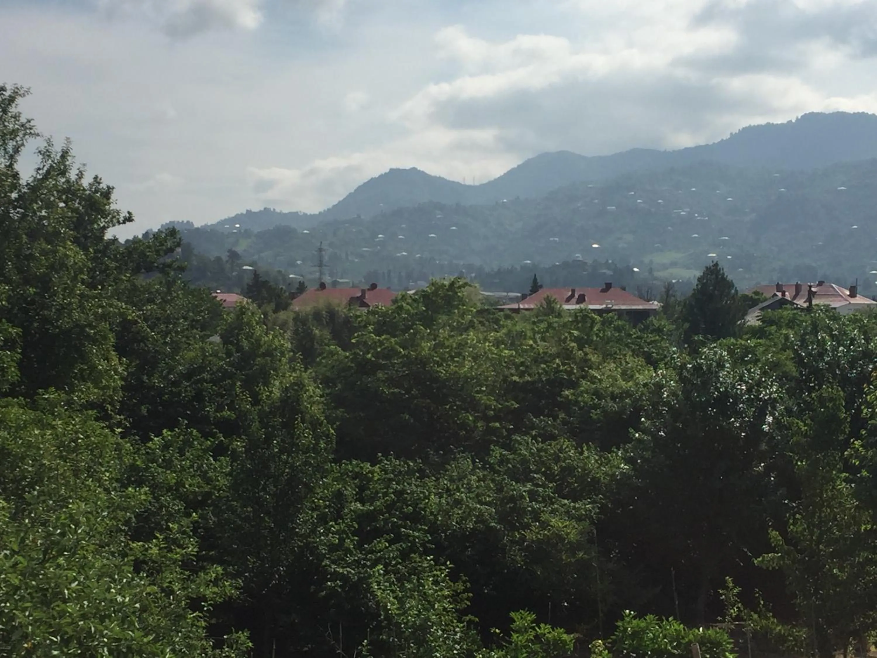 Garden view in Hotel Botanica