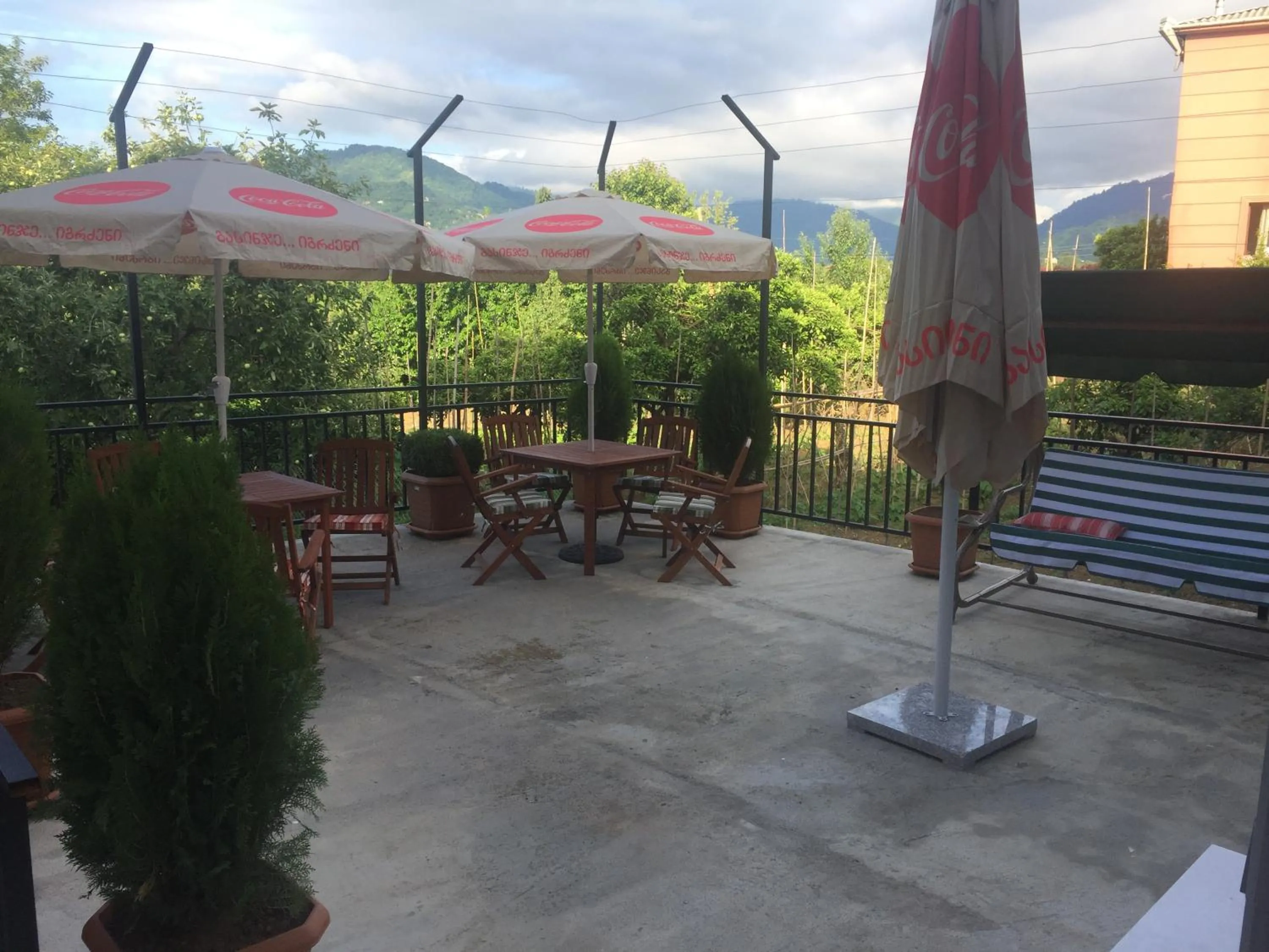 Balcony/Terrace in Hotel Botanica