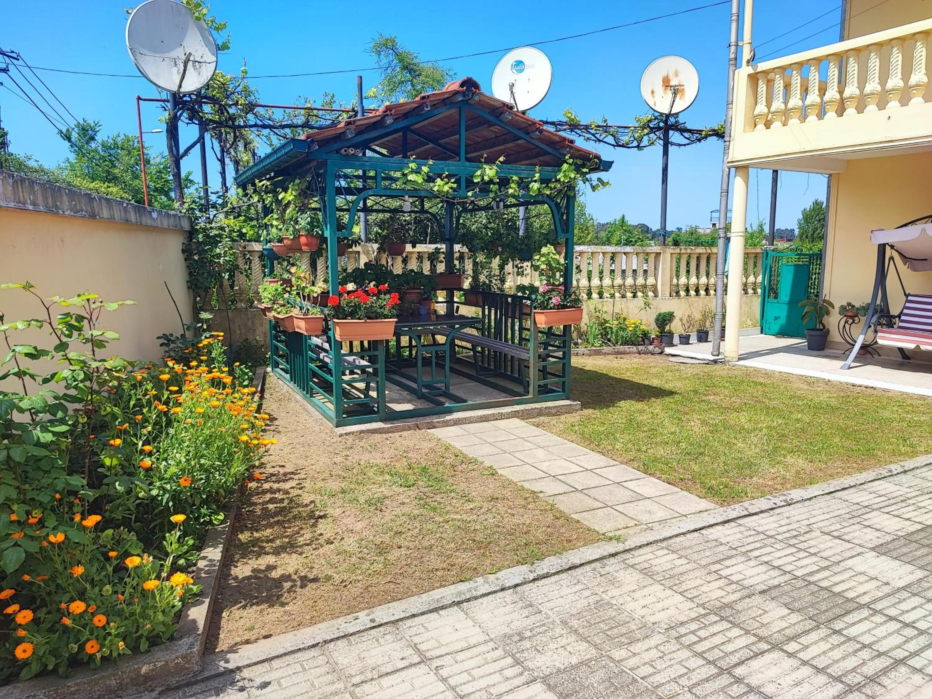 Hotel Botanica