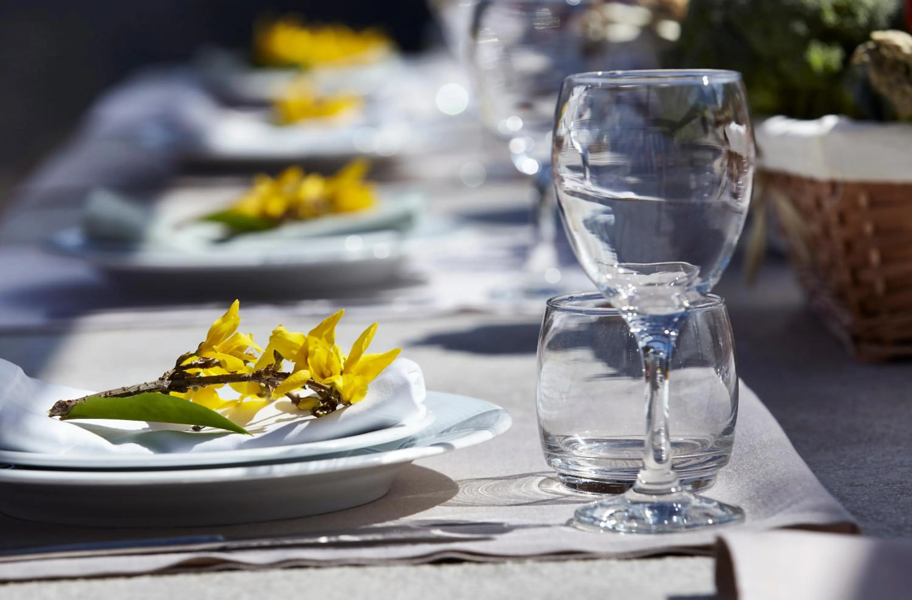 Lunch in Aristi Mountain Resort