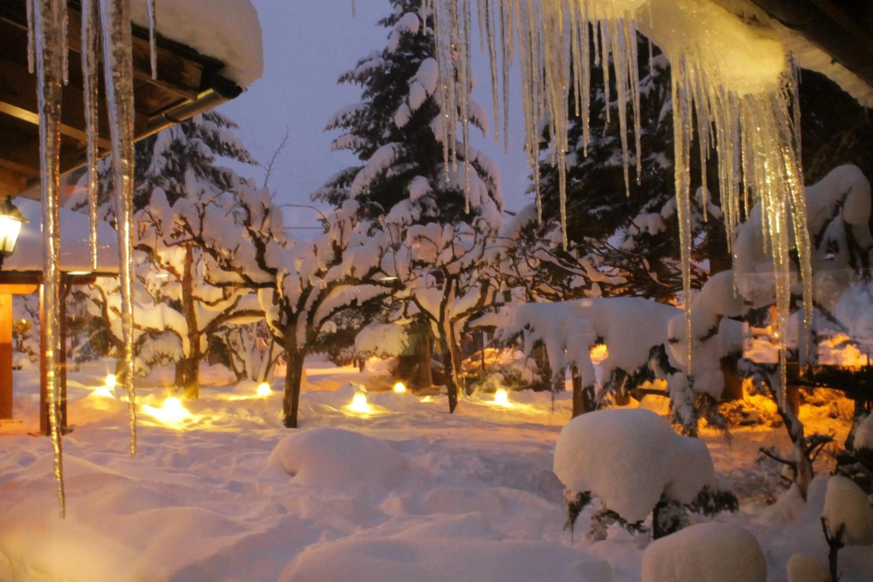 Garden in Hotel Saurat
