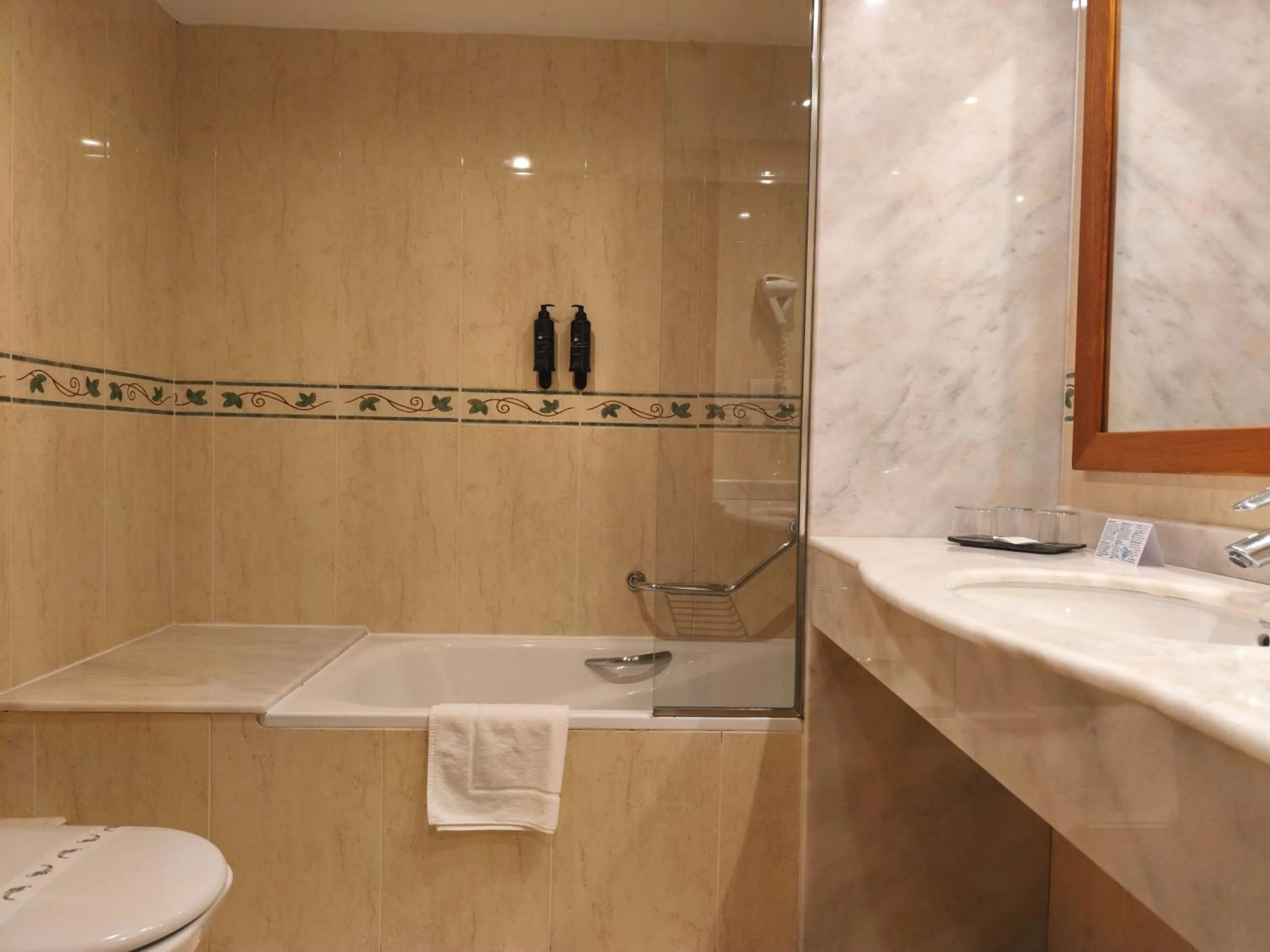 Bathroom in Hotel Saurat