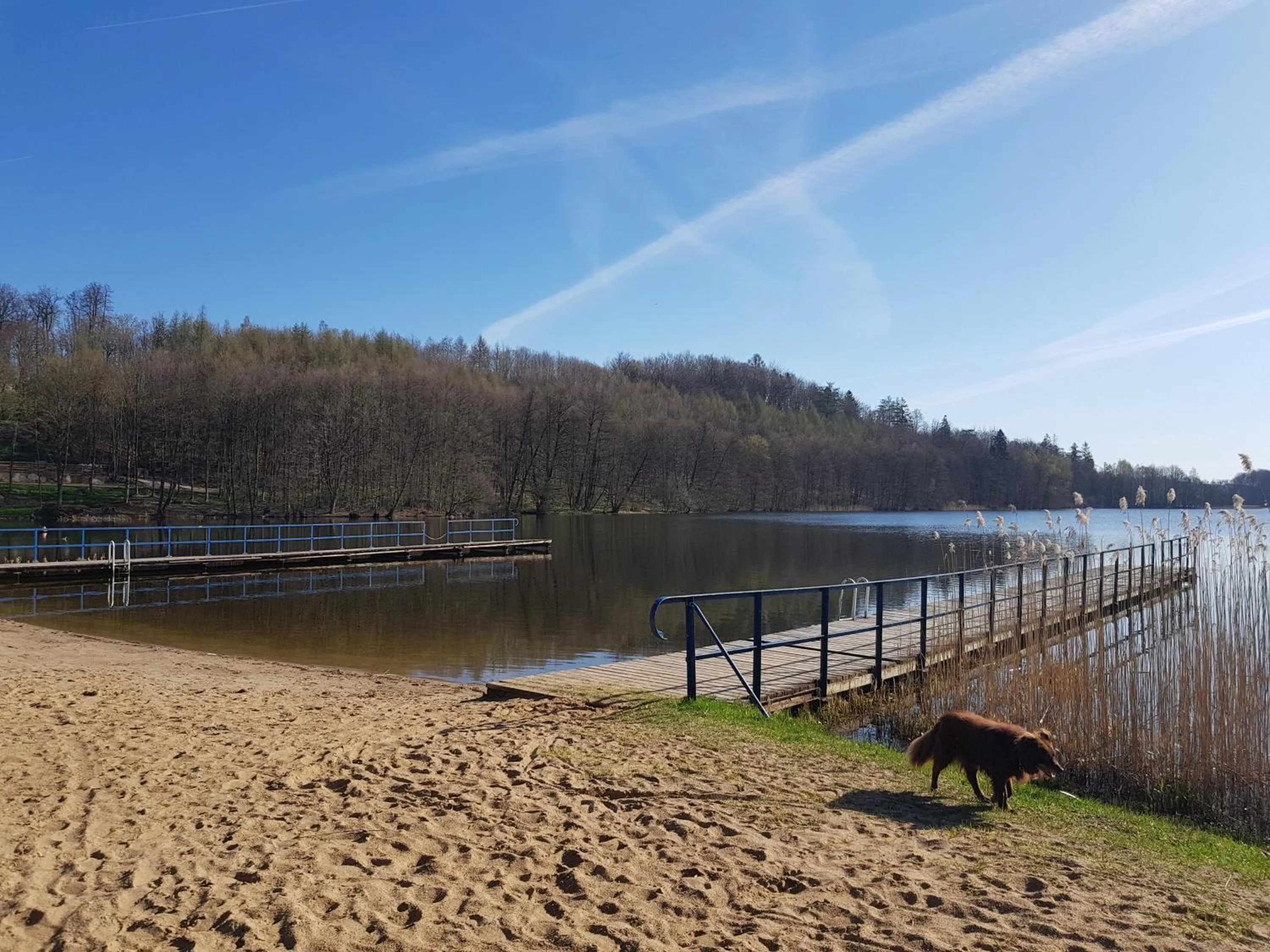 Activities in Gościniec Przywidzki