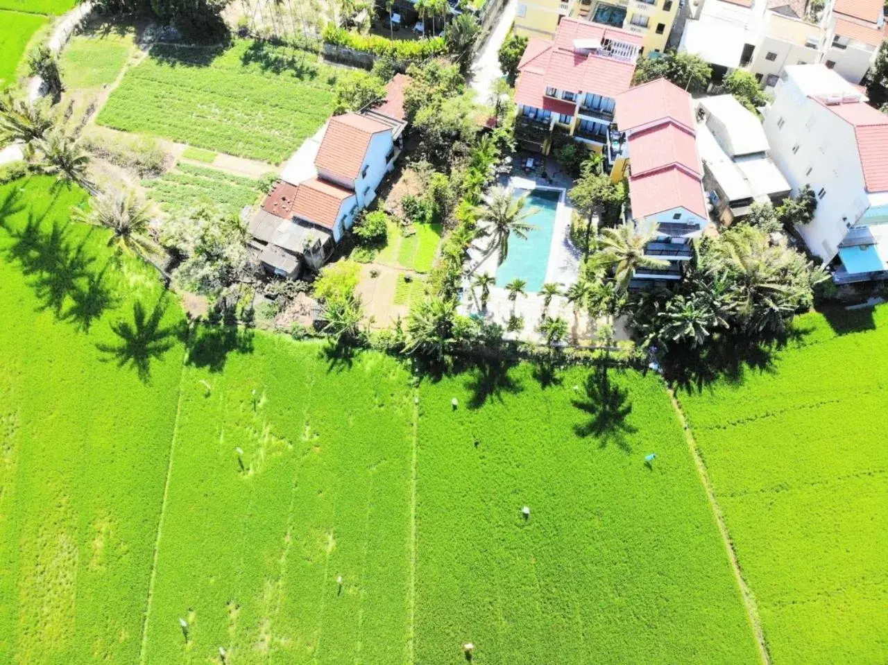 Bird's eye view in Hoi An Four Seasons Villa Bird's eye view in Hoi An Four Seasons Villa