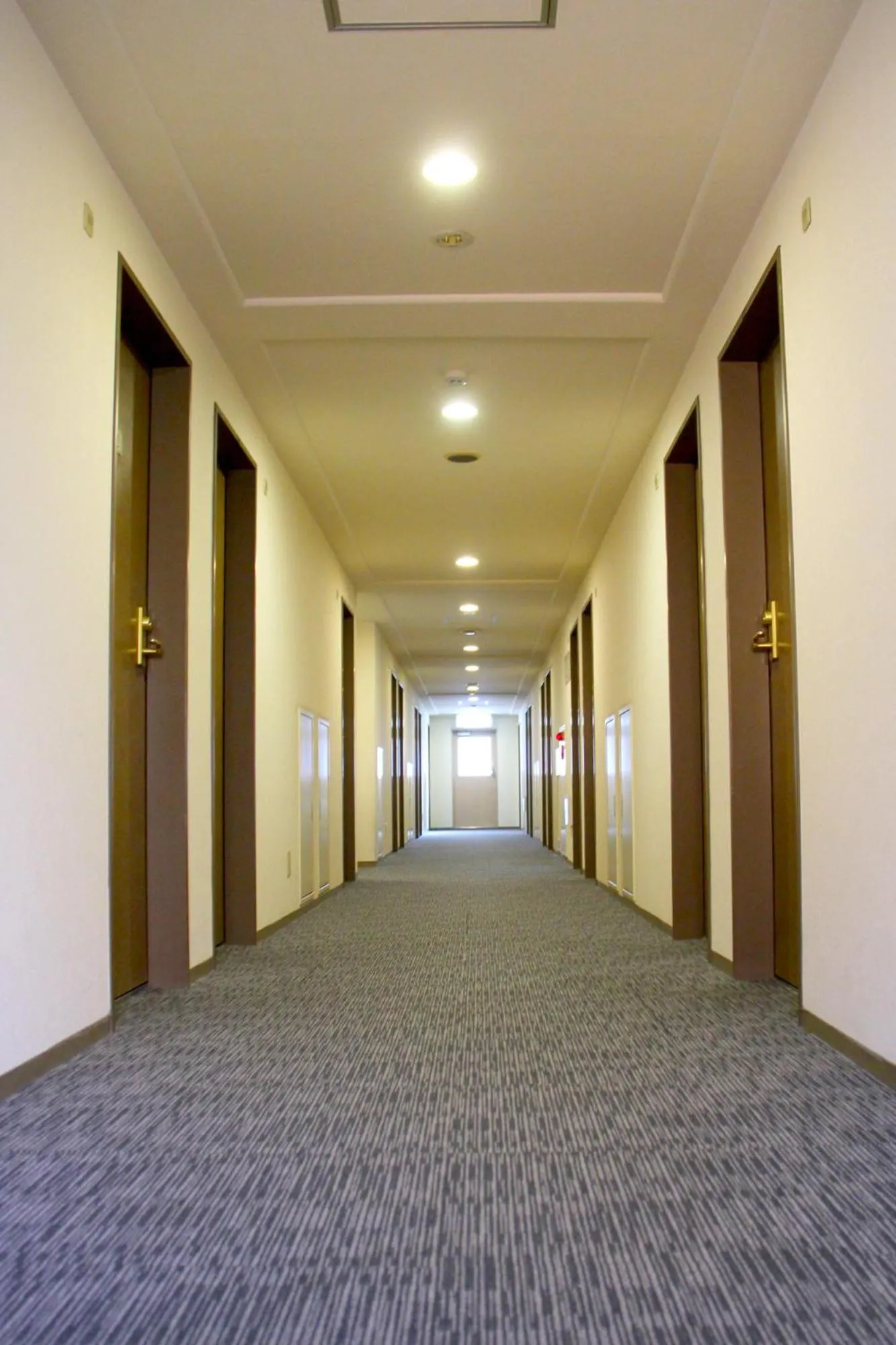 Other in Smile Hotel Tokyo Shinkoiwa