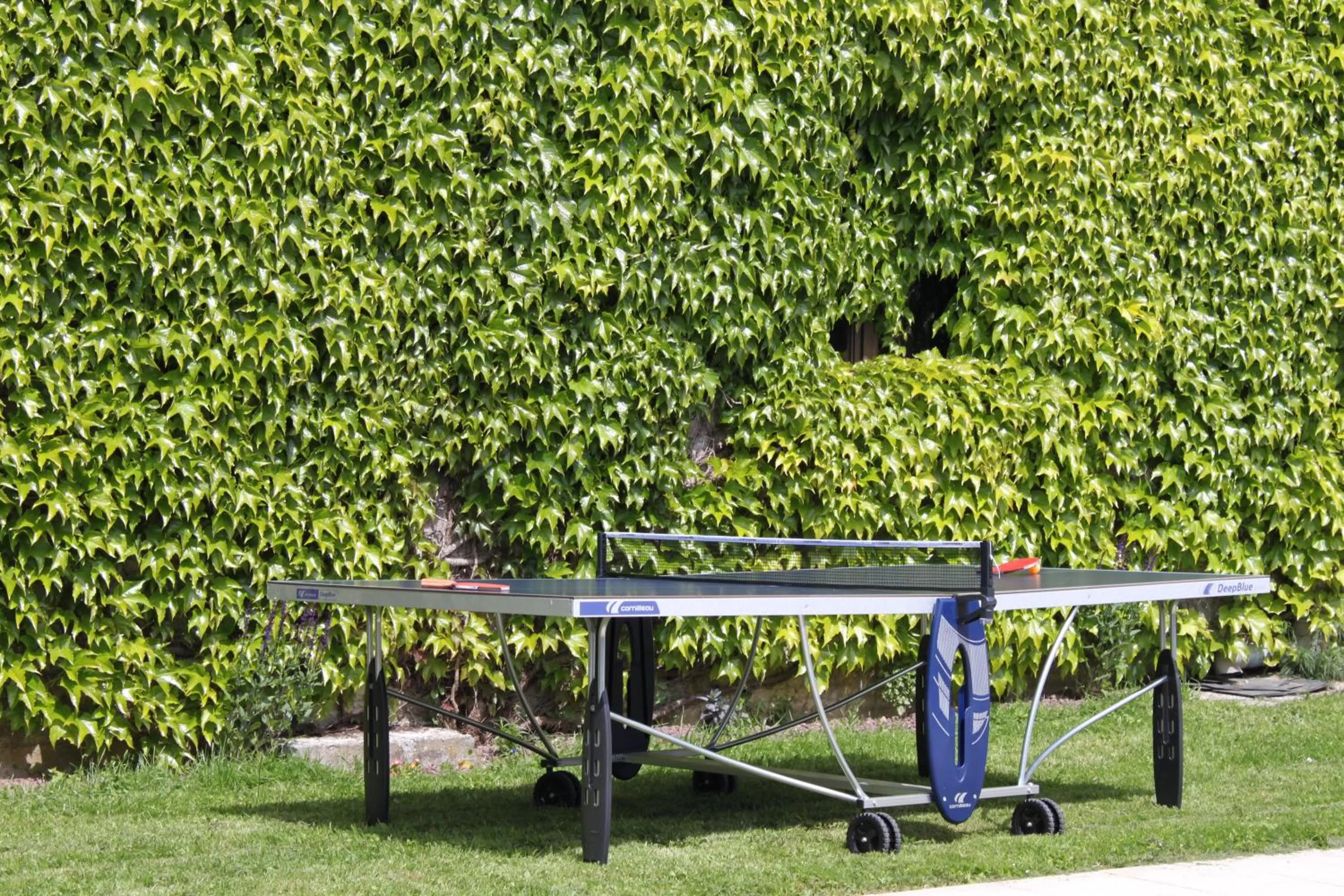 Table tennis in Au fil du temps