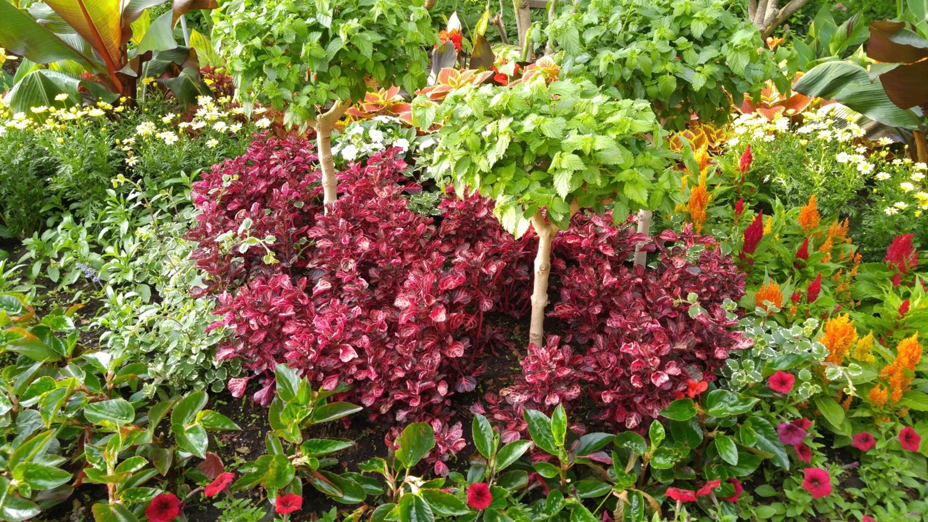 Natural landscape in The White House Boutique B&B