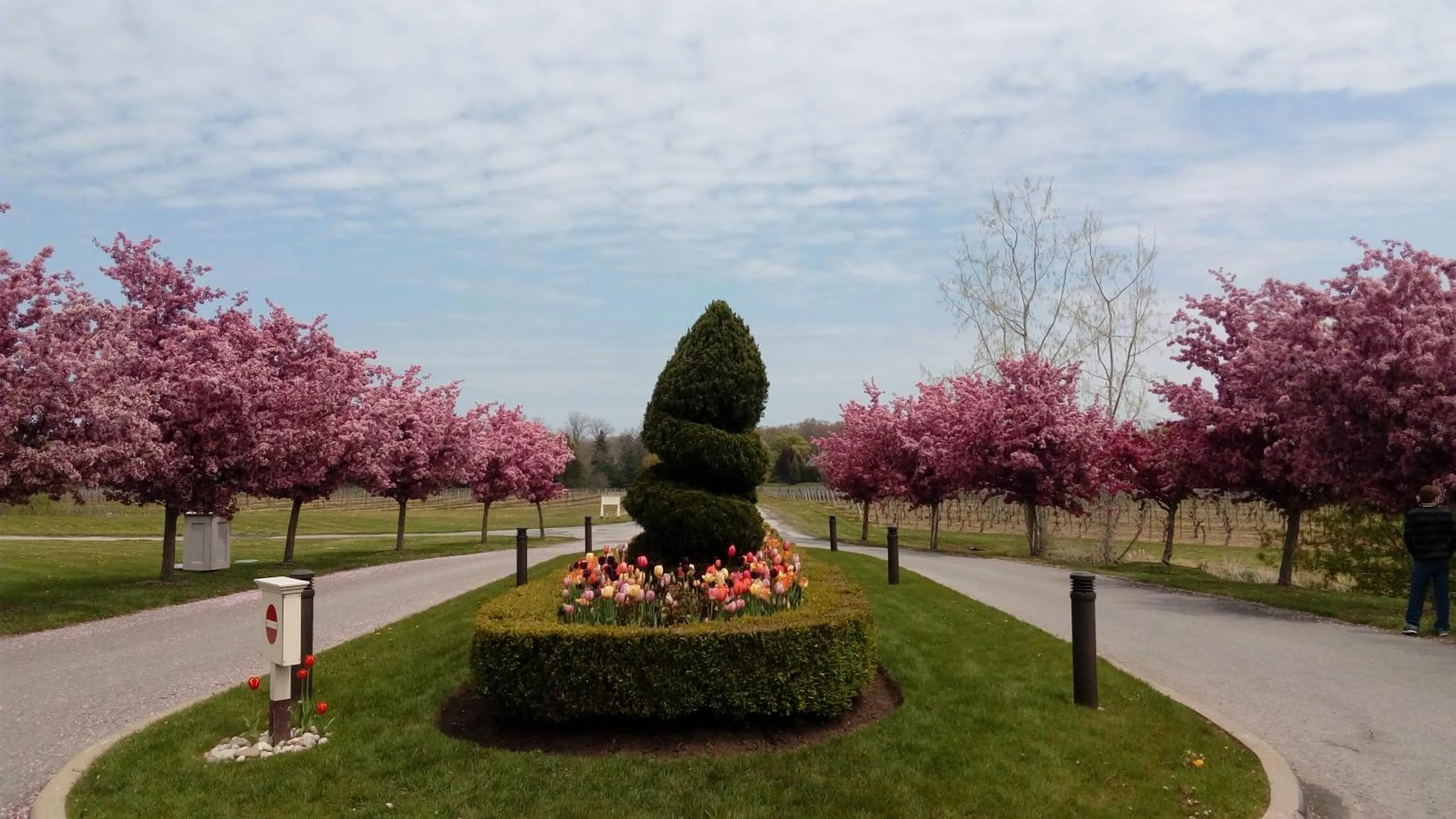 Natural landscape in The White House Boutique B&B