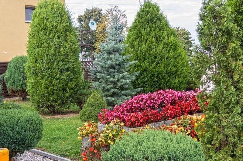 Decorative detail in Paola