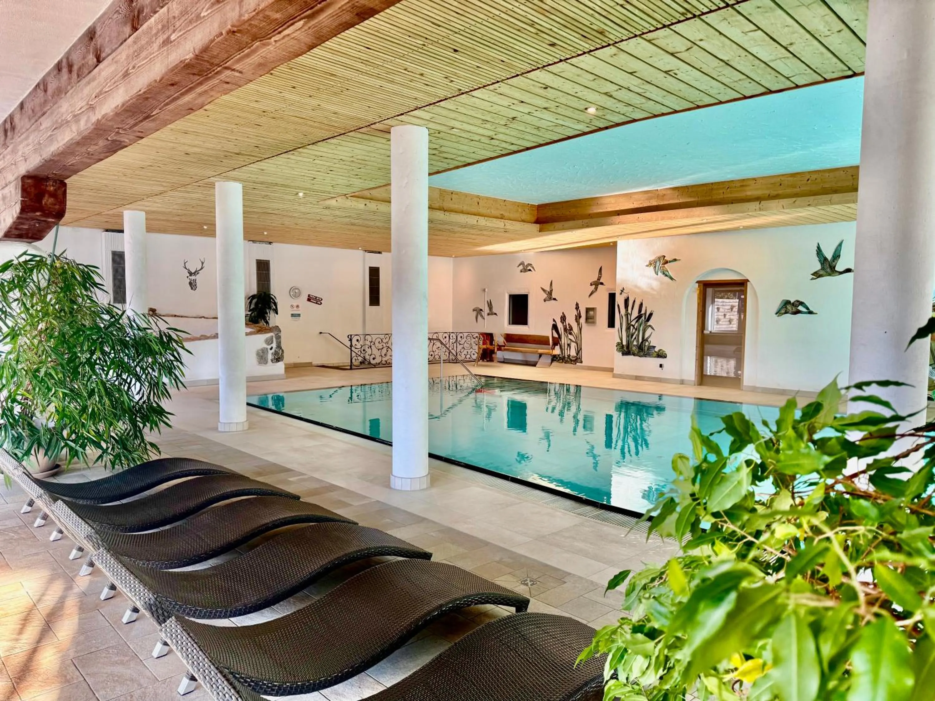 Swimming pool in Berghoteltirol