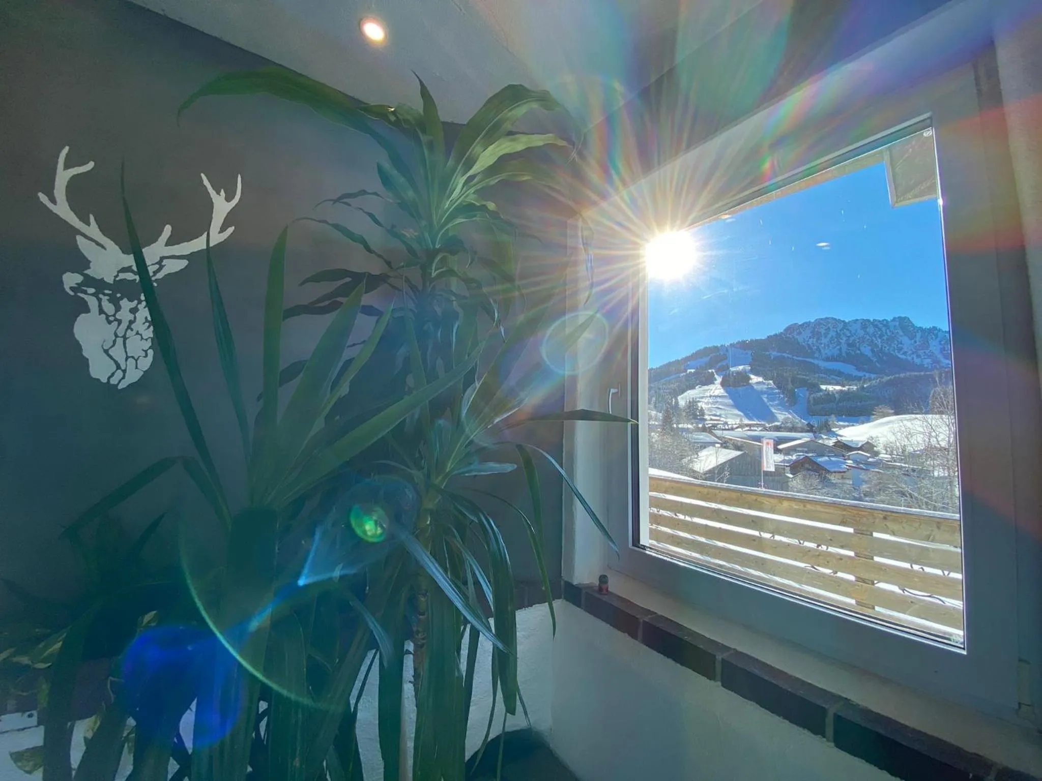 View (from property/room) in Berghoteltirol