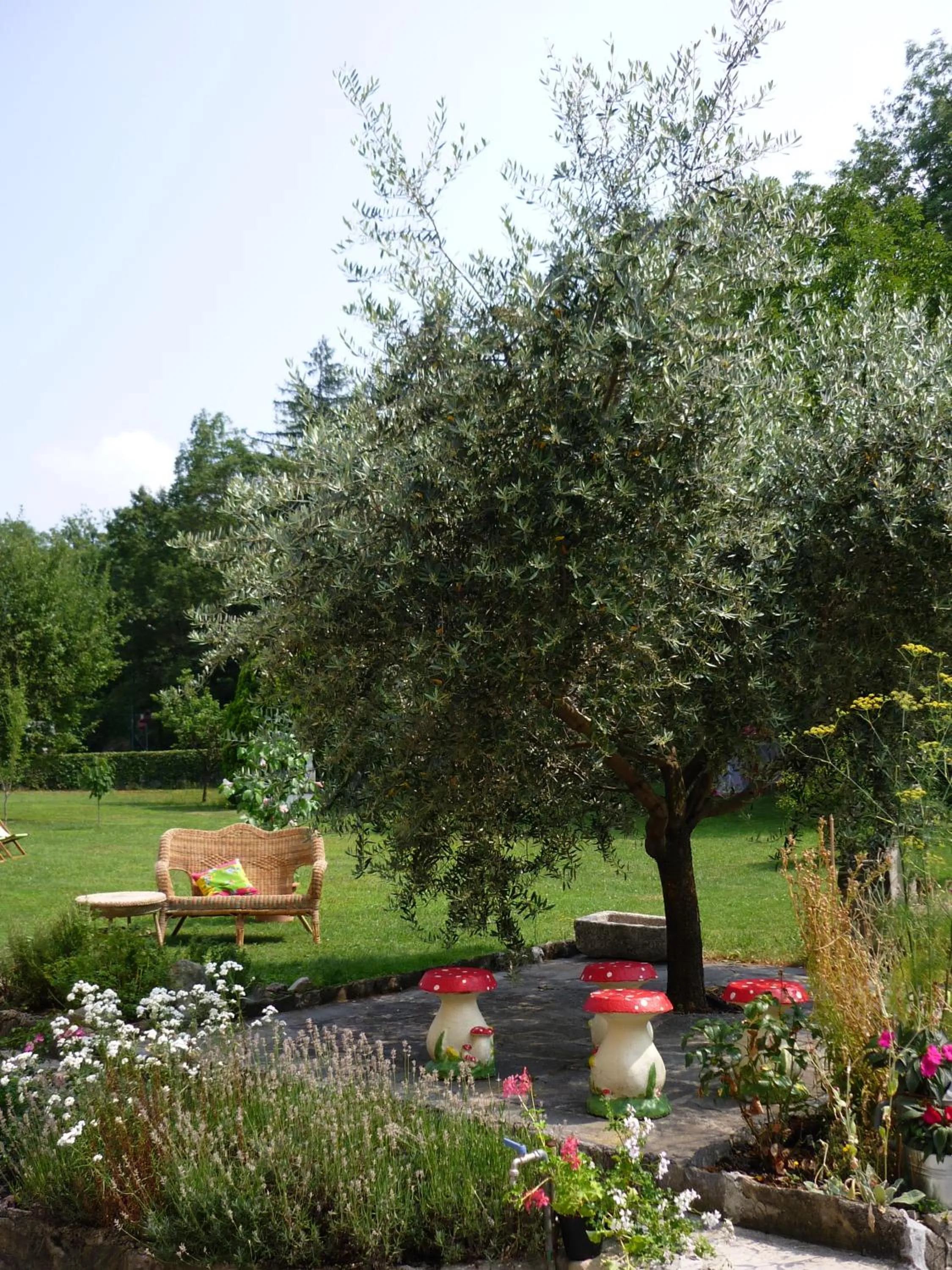 il coniglio sulla luna