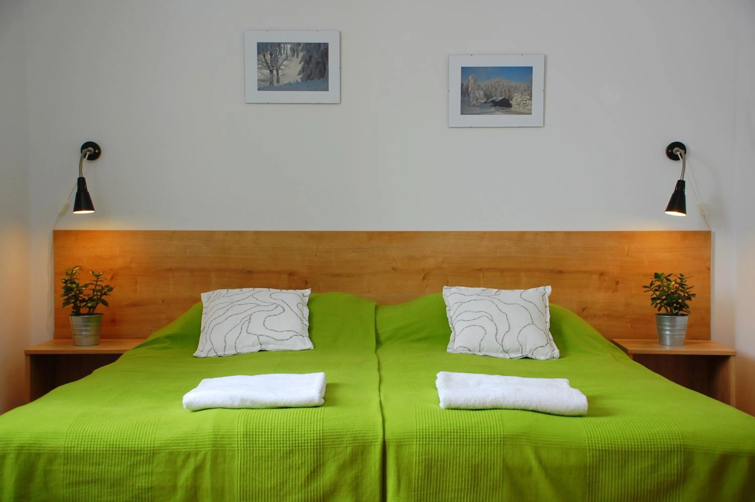 Photo of the whole room, Bed in Willa Rudy