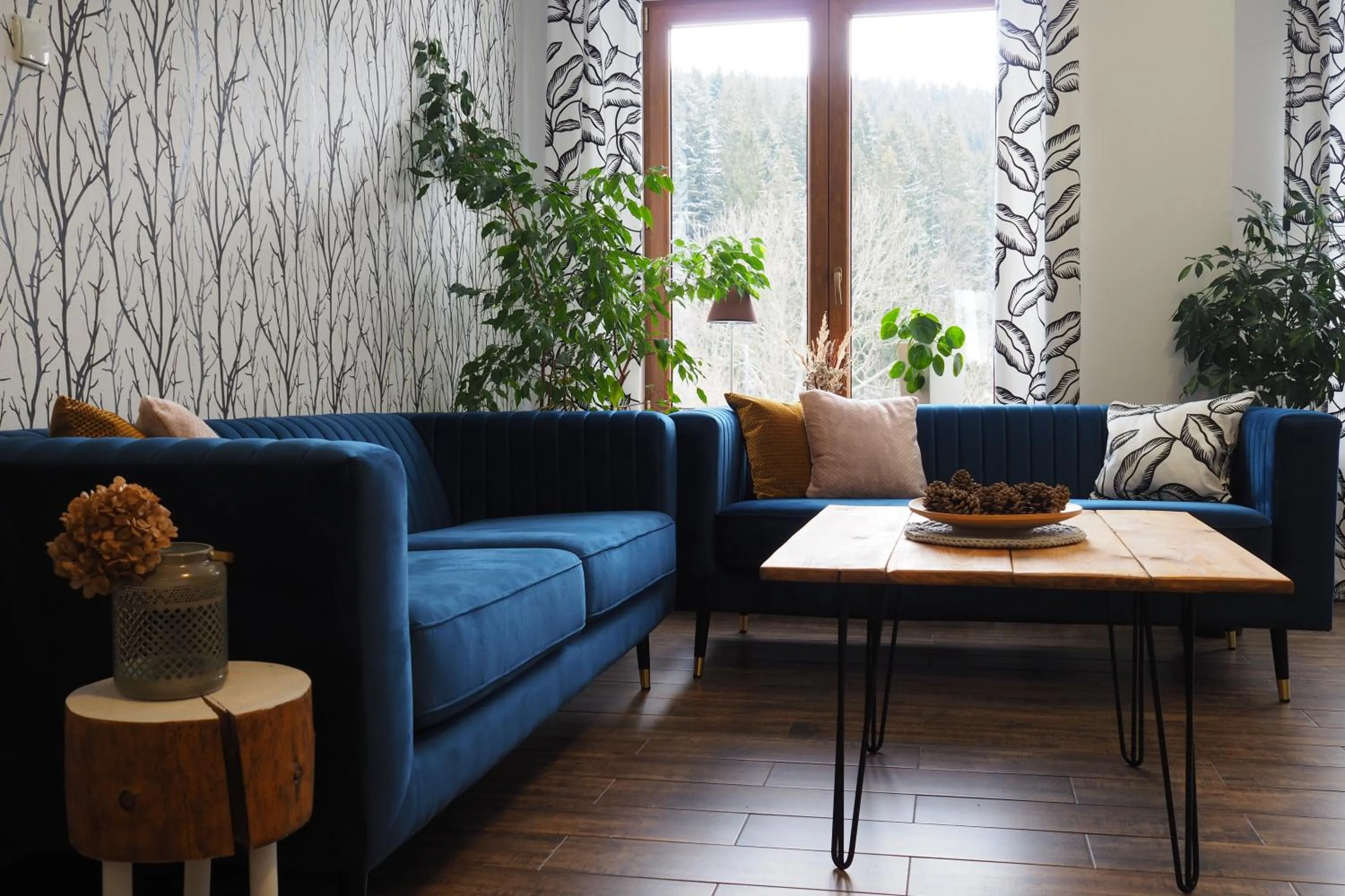 Communal lounge/ TV room in Willa Rudy