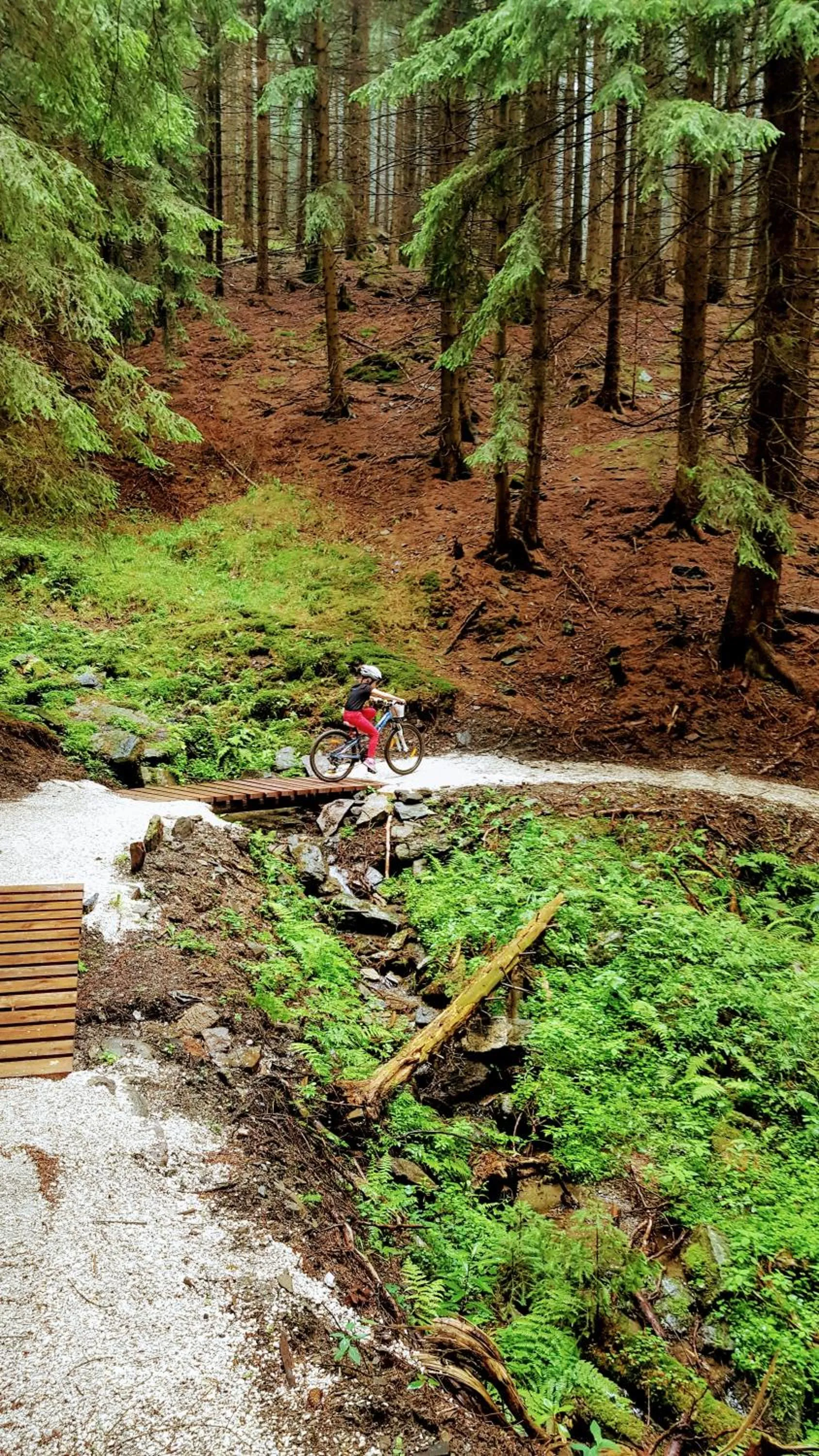 Off site in Willa Rudy