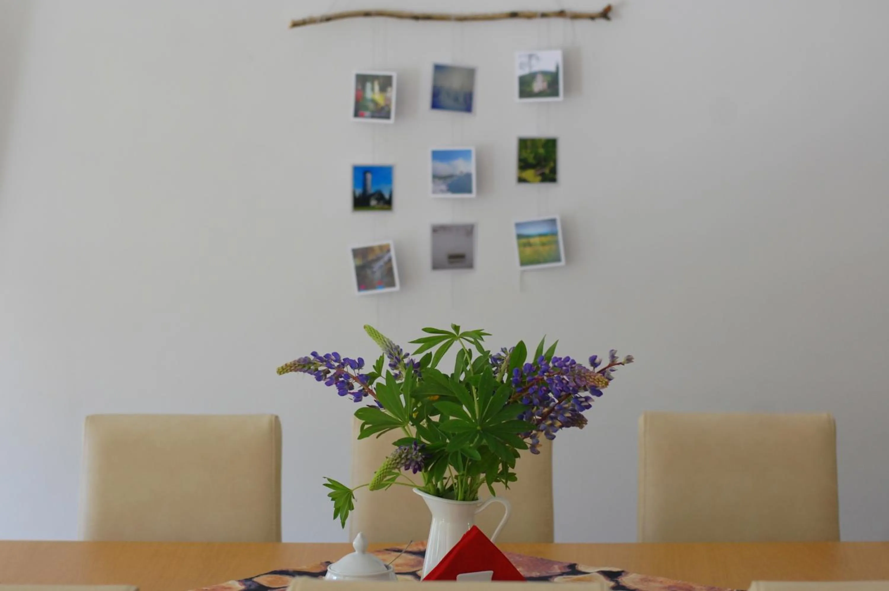 Communal lounge/ TV room in Willa Rudy