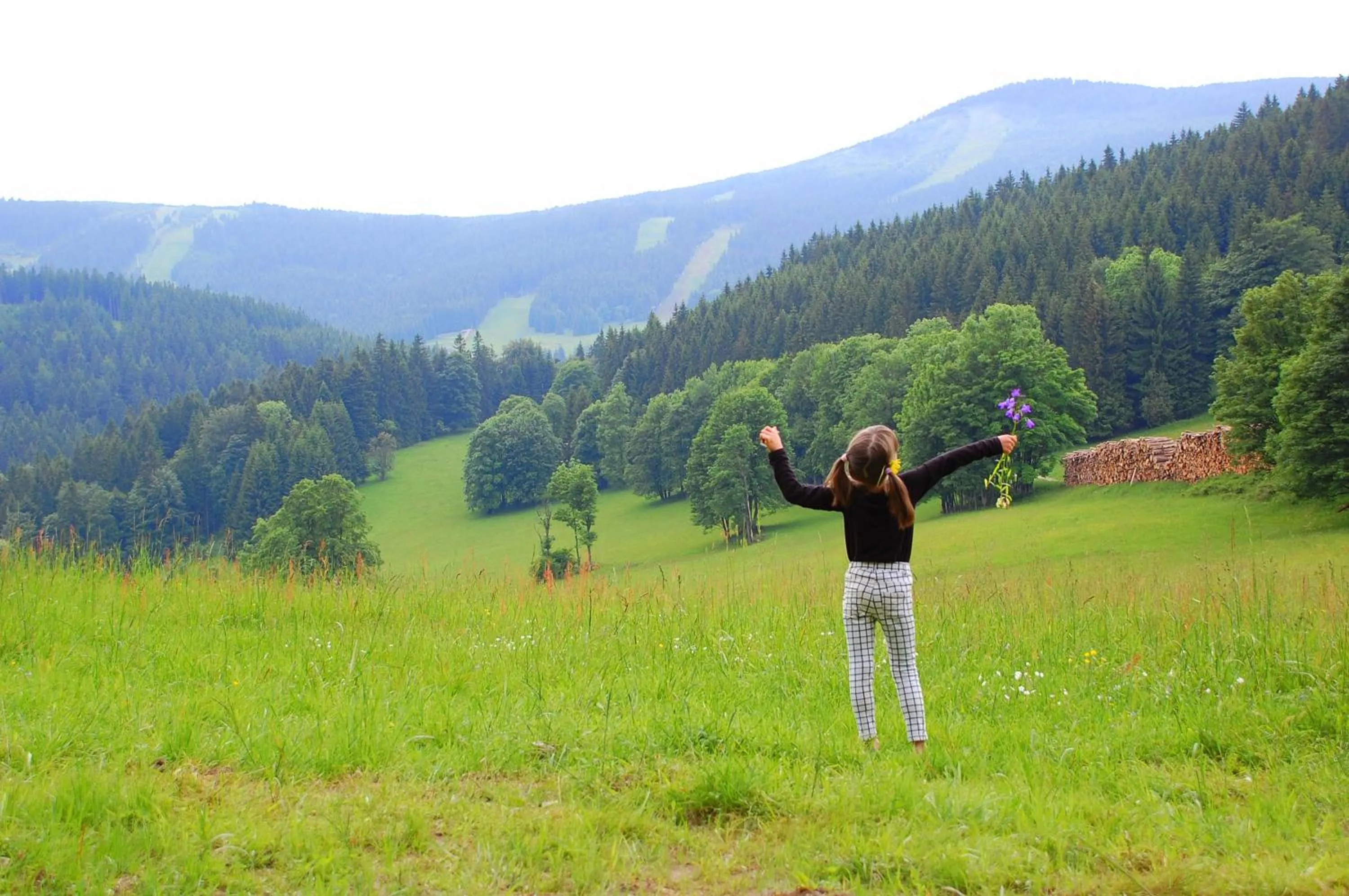 Neighbourhood in Willa Rudy